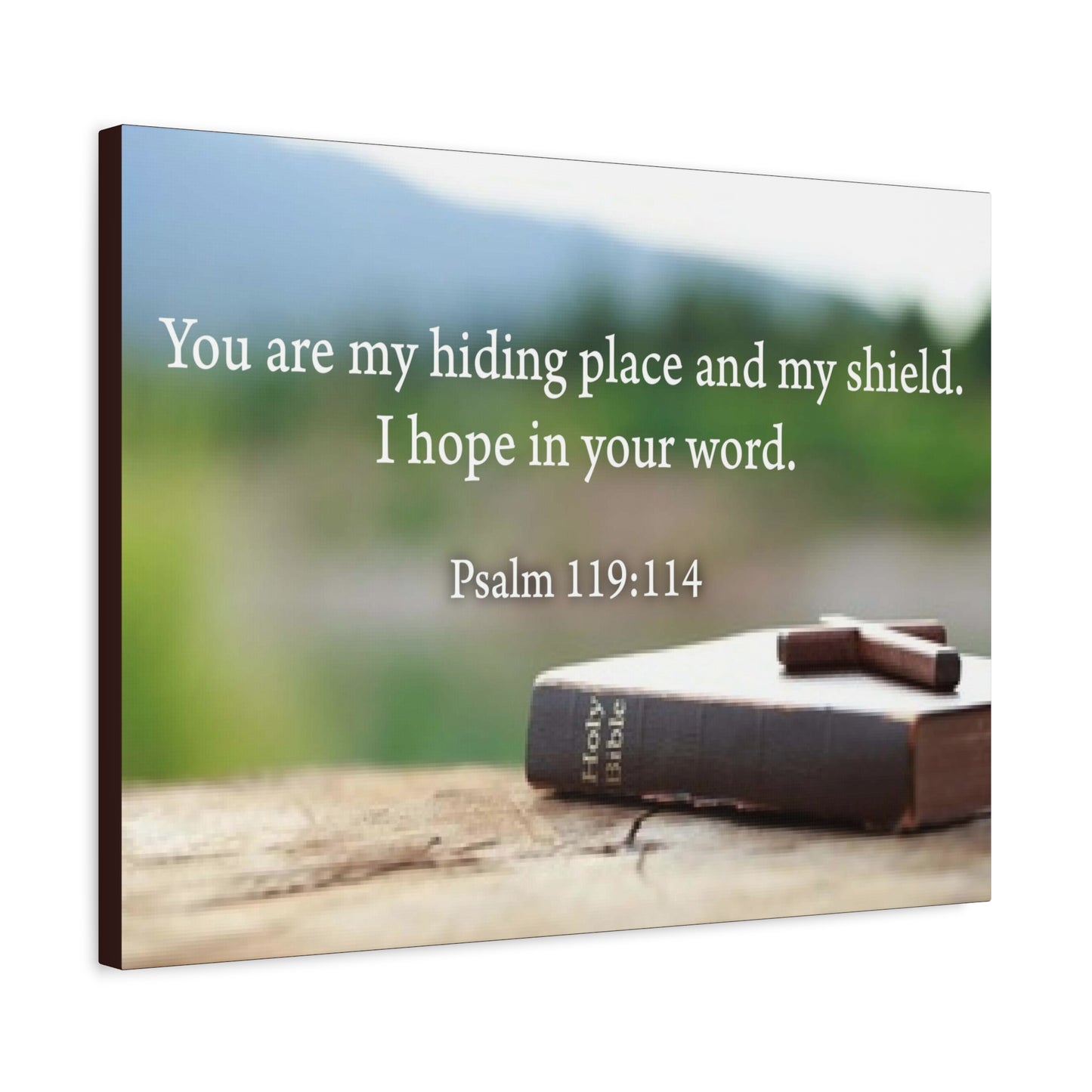 Scripture Walls Hiding Place Psalm 119:114 Bible Verse Canvas Christian Wall Art Ready to Hang