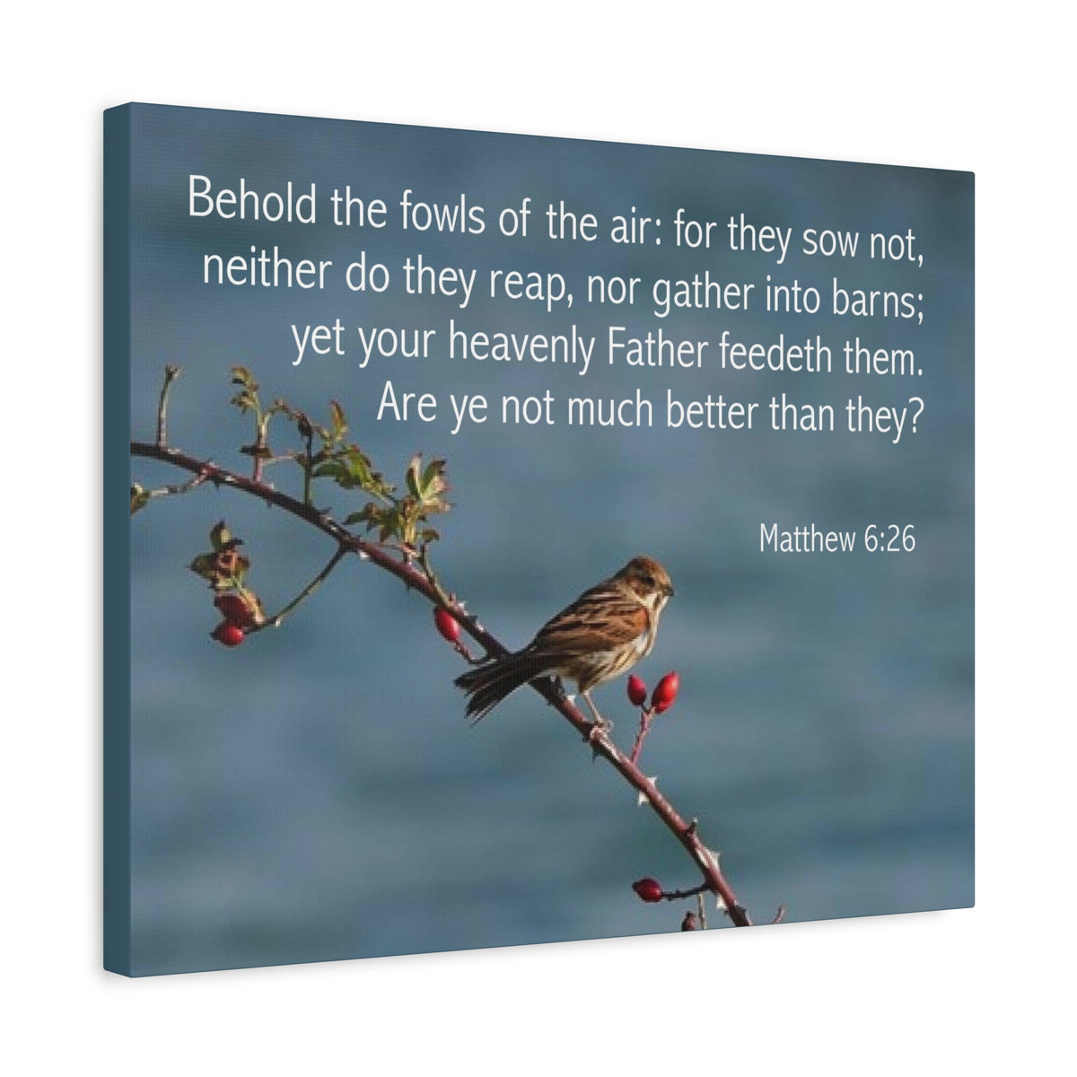 Scripture Canvas Behold The Fowls Matthew 6:26 Christian Wall Art Bible Verse Print Ready to Hang