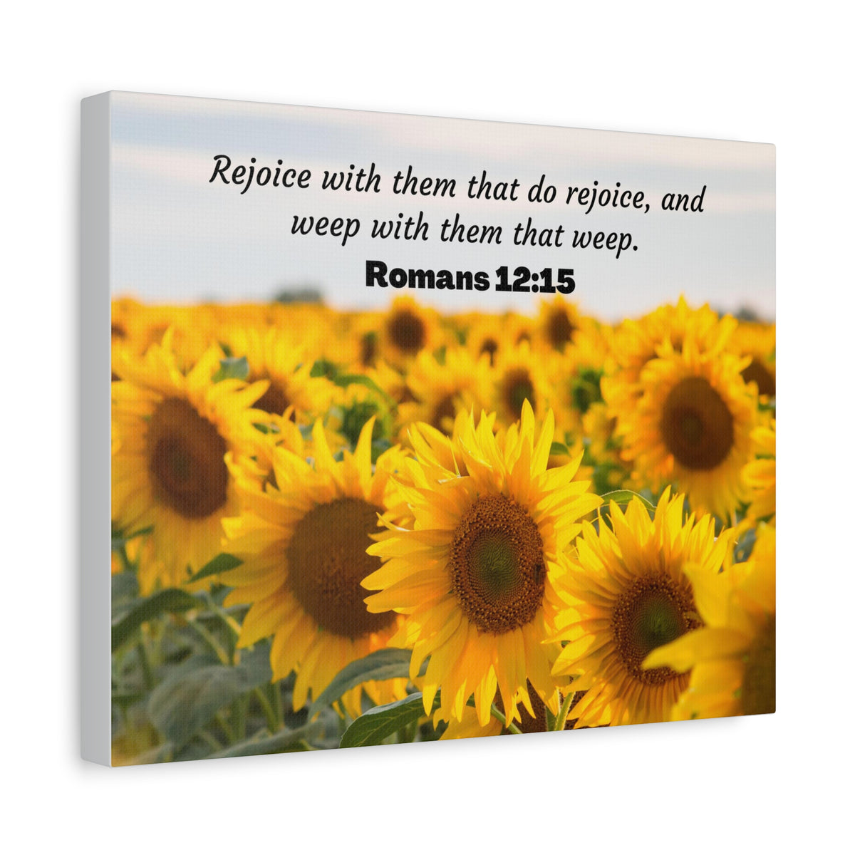 Scripture Canvas Rejoice With Them Romans 12:15 Sunflower Christian Wall Art Bible Verse Print Ready to Hang