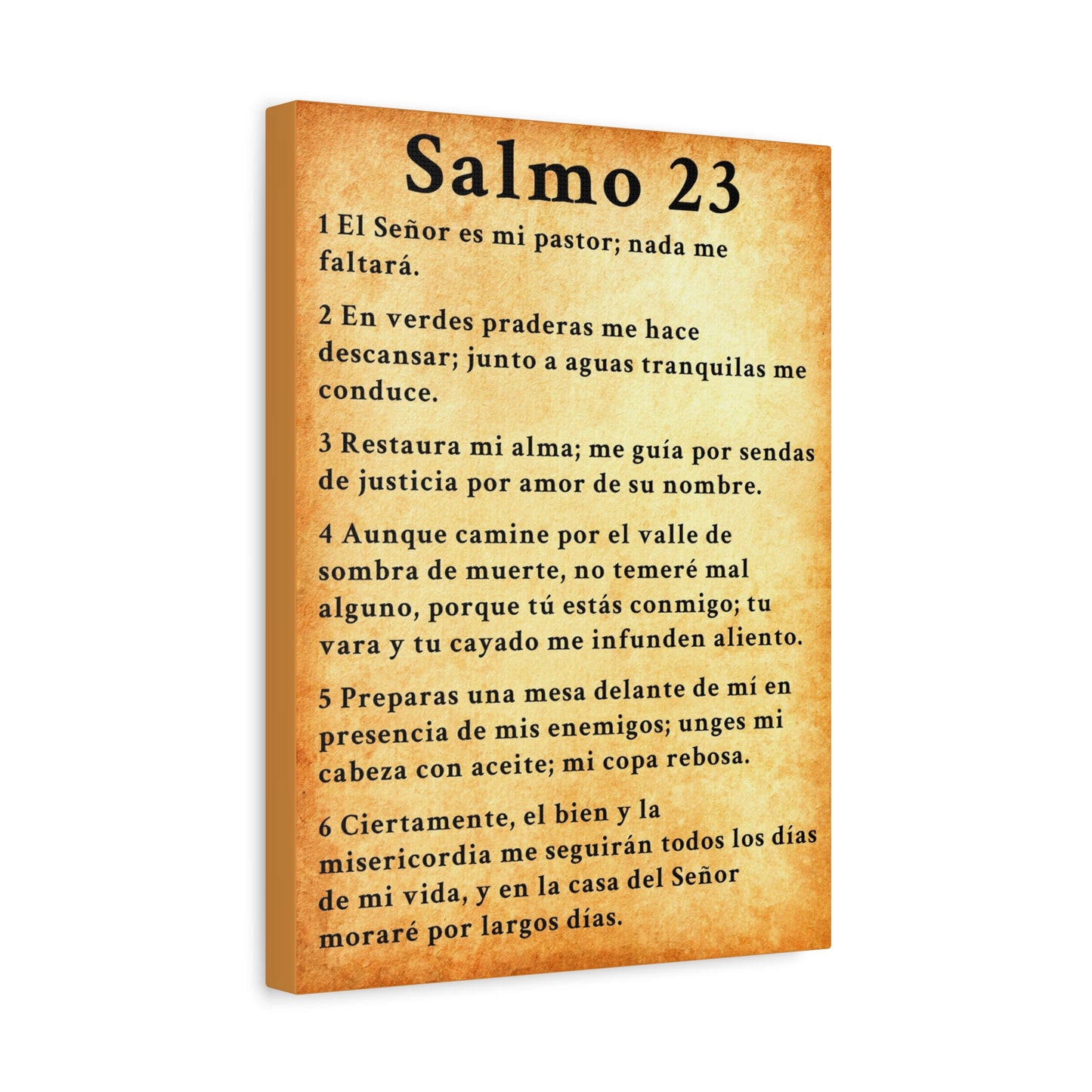 Scripture Walls Salmo 23 Chapter Gold Christian Wall Art Print Ready to Hang Unframed