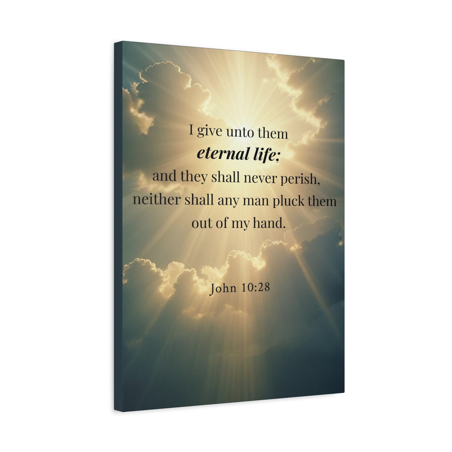 Scripture Walls John 10:28 Eternal Assurance Bible Verse Canvas Christian Wall Art Ready to Hang Unframed