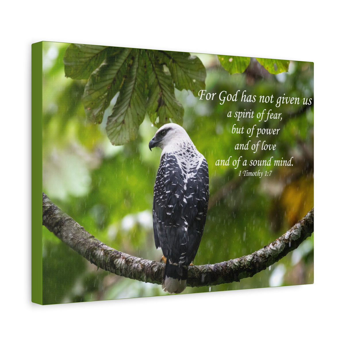 Scripture Canvas A Sound Mind 1 Timothy 1:7 Christian Wall Art Bible Verse Print Ready to Hang