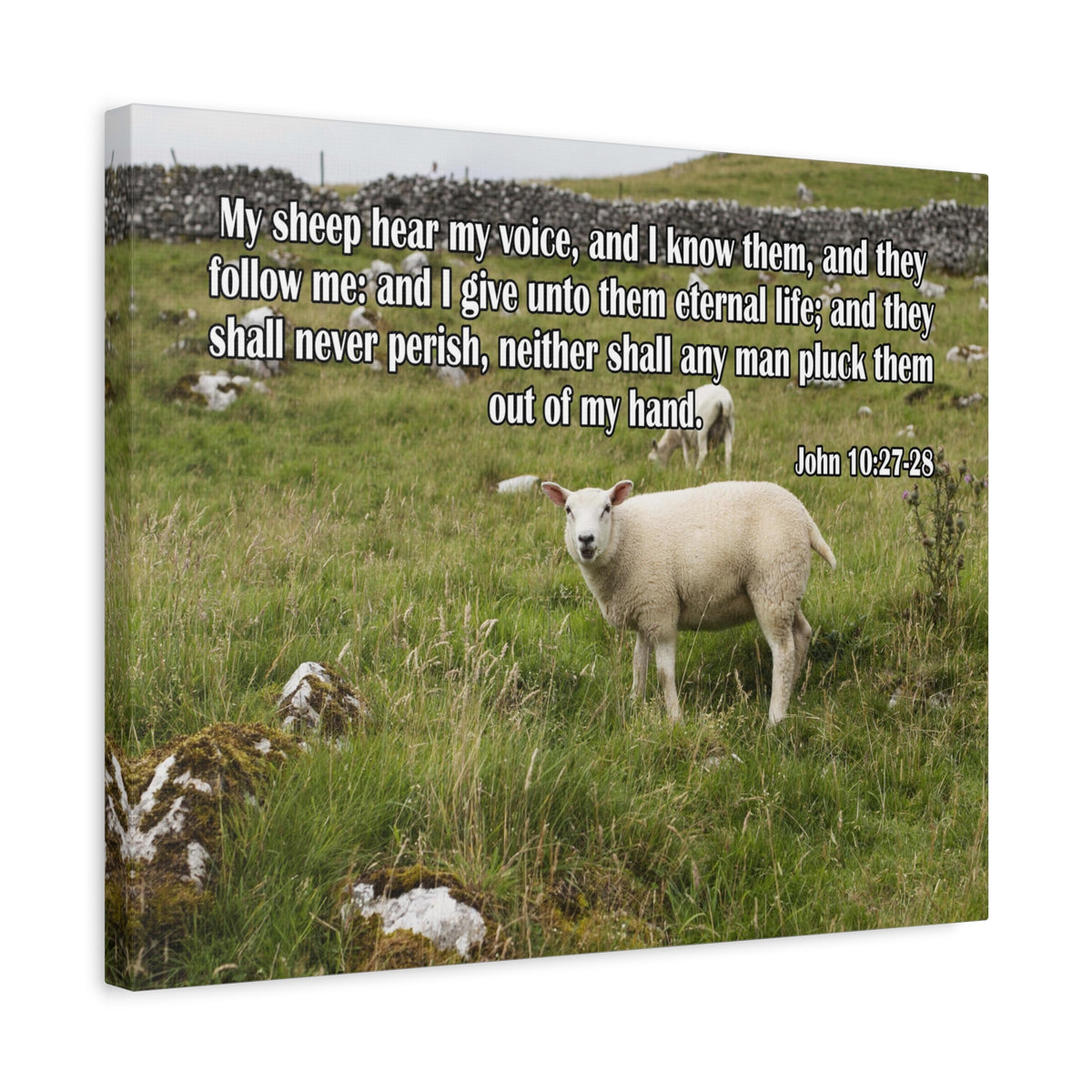 Scripture Canvas Hear My Voice John 10:27-28 Christian Wall Art Bible Verse Print Ready to Hang
