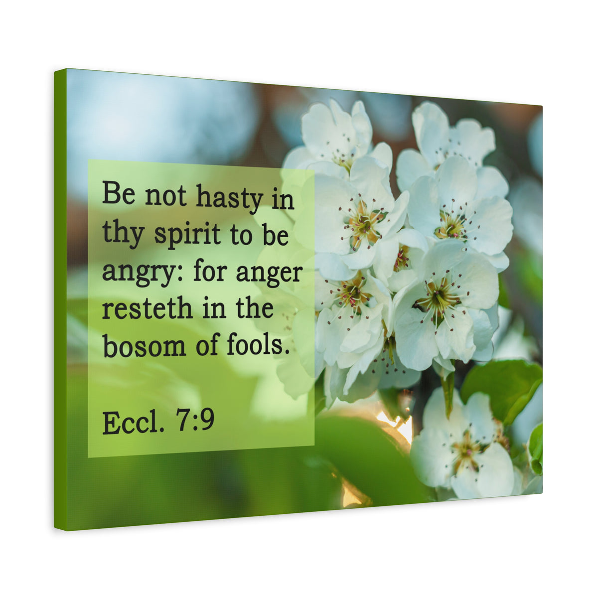 Scripture Canvas Be Not Hasty Ecclesiastes 7:9 Christian Wall Art Bible Verse Print Ready to Hang