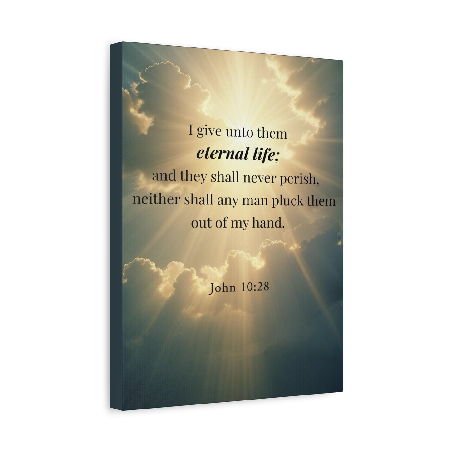 Scripture Walls John 10:28 Eternal Assurance Bible Verse Canvas Christian Wall Art Ready to Hang Unframed