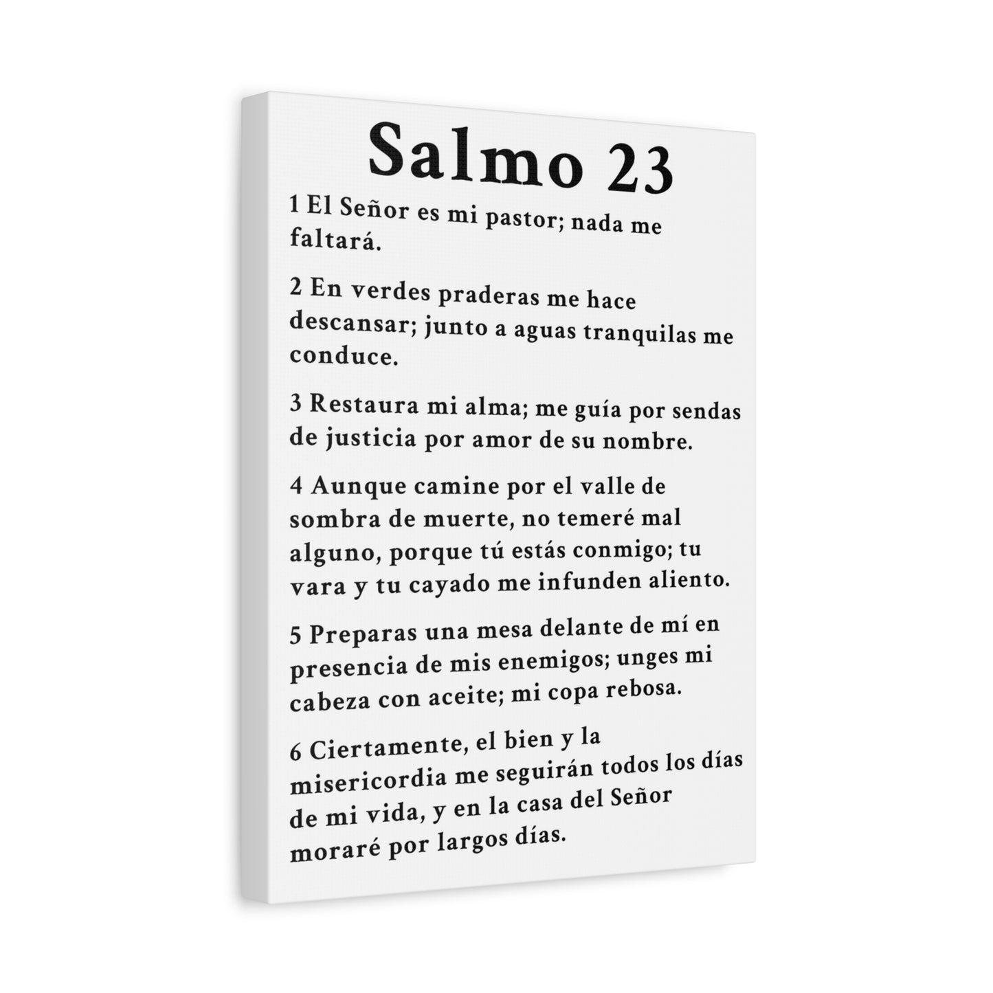 Scripture Walls Salmo 23 Chapter White Christian Wall Art Print Ready to Hang Unframed