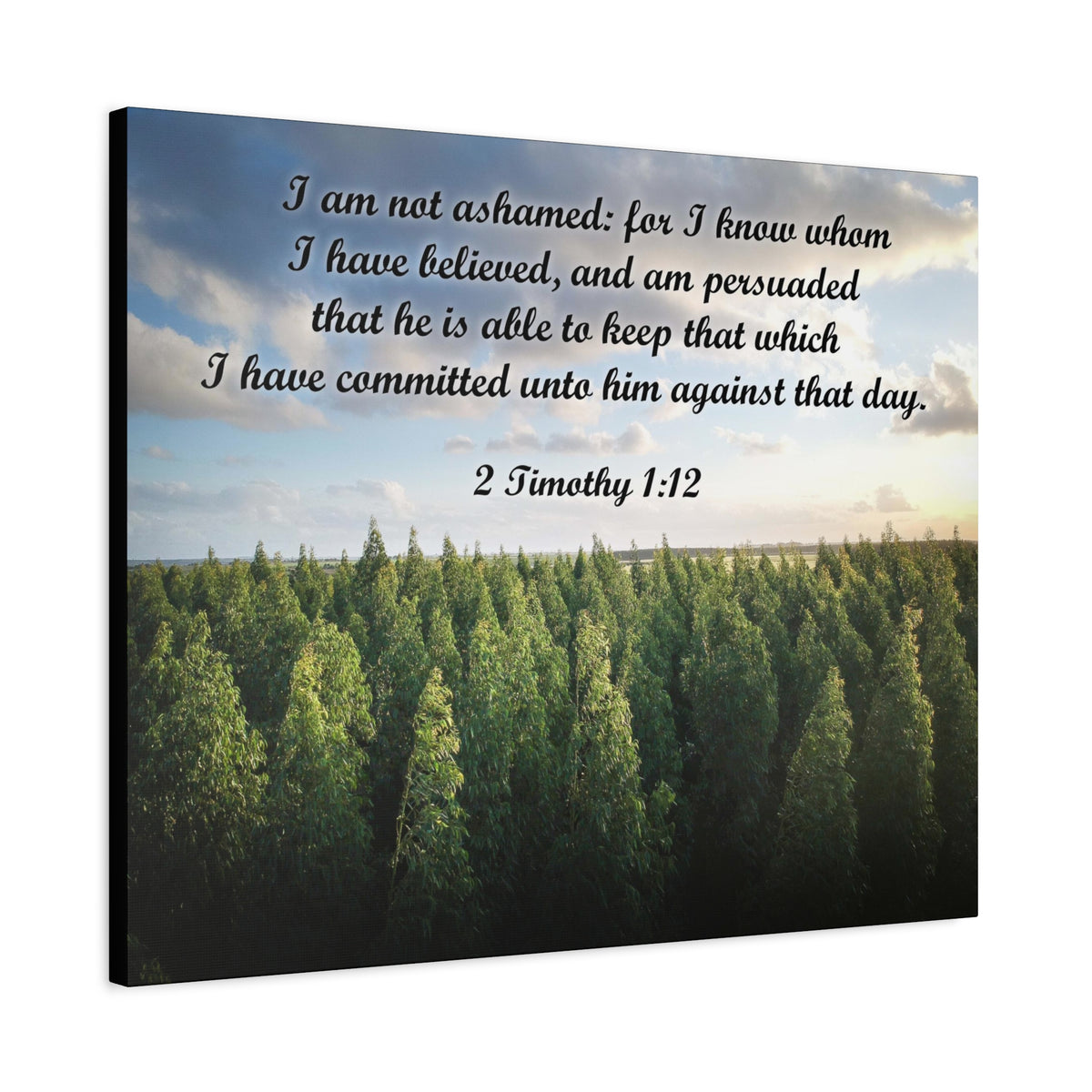 Scripture Canvas Not Ashamed 2 Timothy 1:12 Christian Wall Art Bible Verse Print Ready to Hang