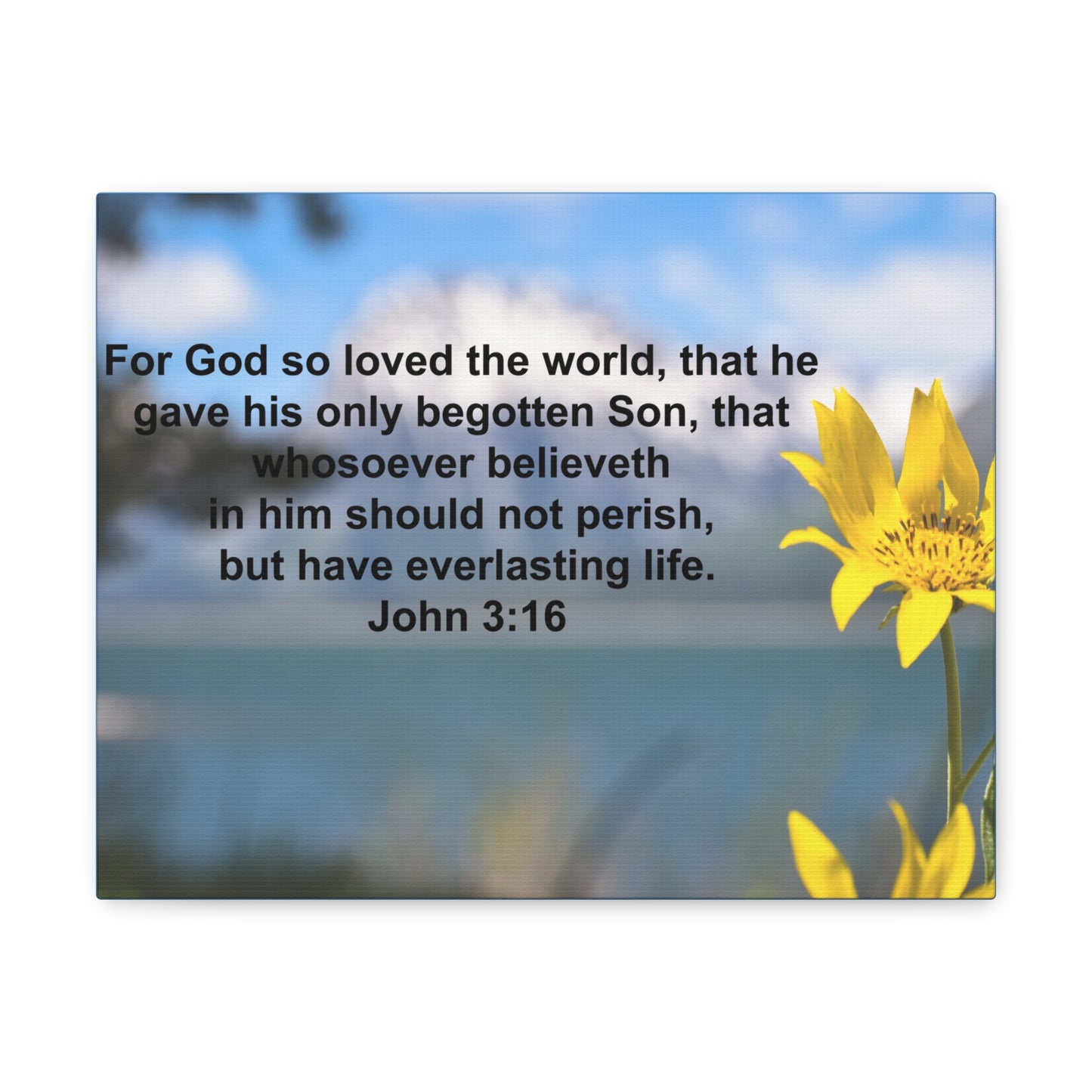 Have Everlasting Life John 3:16 Bible Verse Canvas Christian Wall Art Ready to Hang