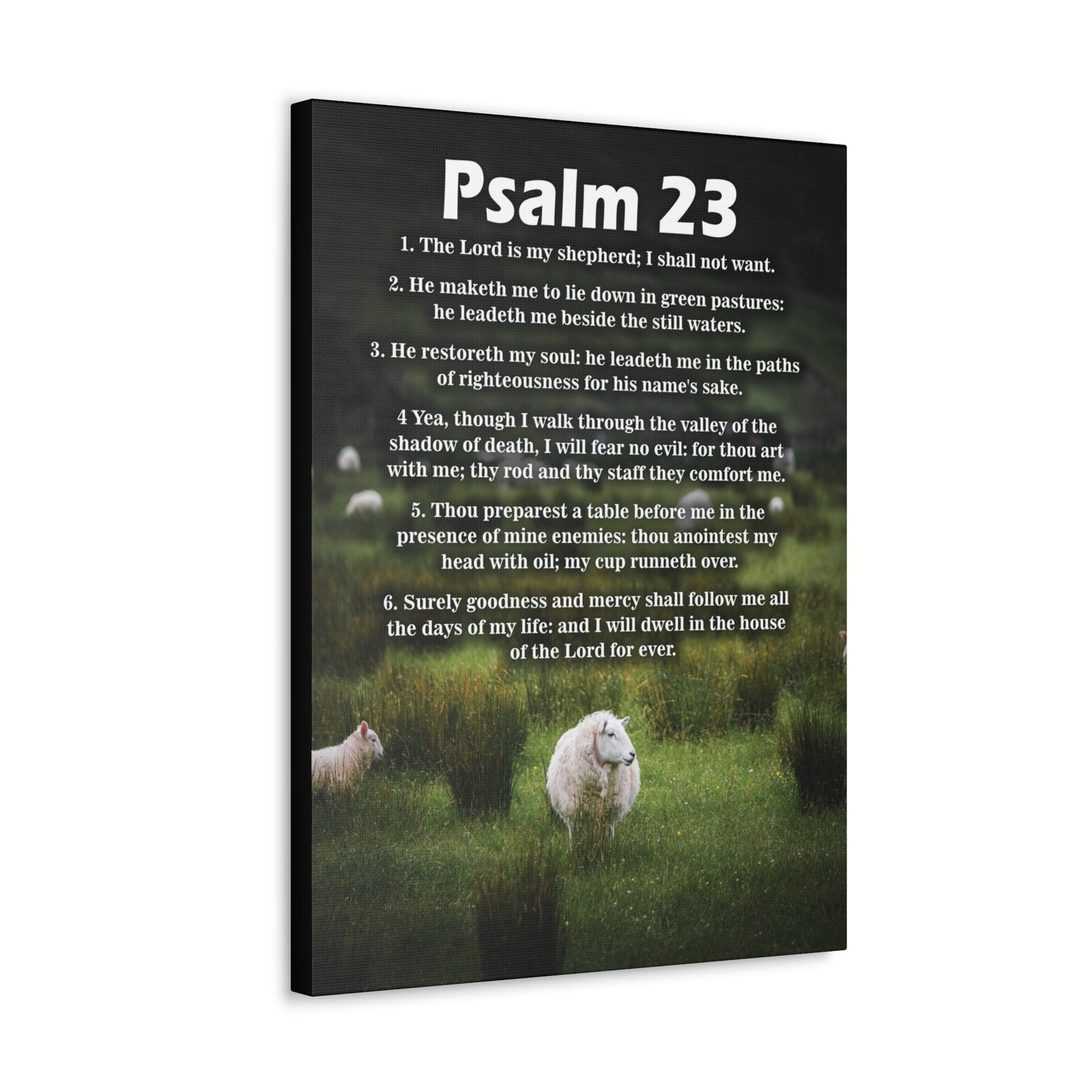 The Lord is My Shepherd Psalm 23:3 Christian Wall Art Bible Verse Print Ready to Hang