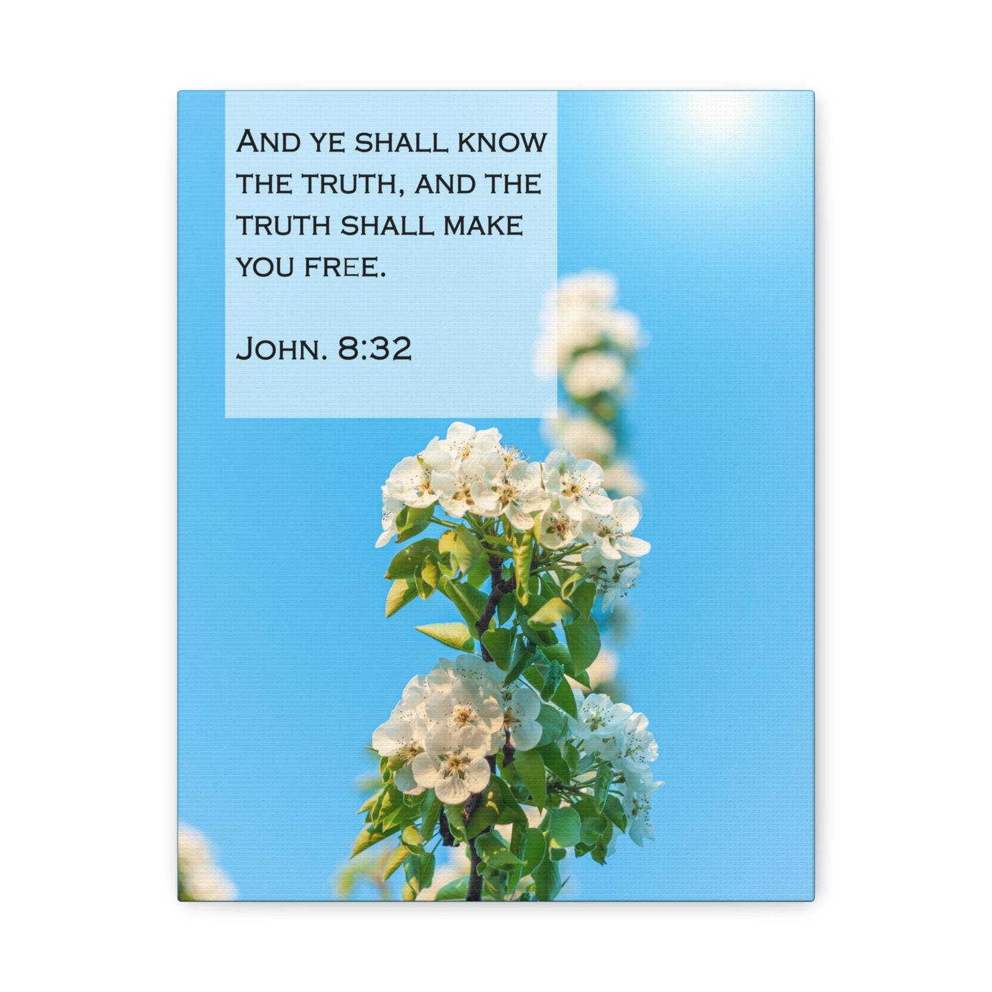 The Truth Shall Make You Free John 8:32 Bible Verse Canvas Christian Wall Art Bible Verse Print Ready To Hang