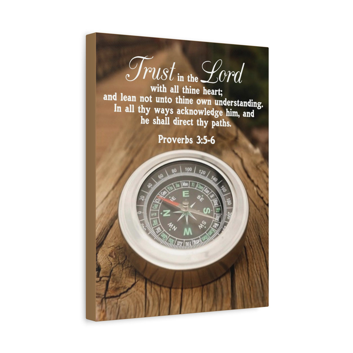 Scripture Canvas Direct Thy Paths Proverbs 3:5-6 Christian Wall Art Bible Verse Print Ready to Hang