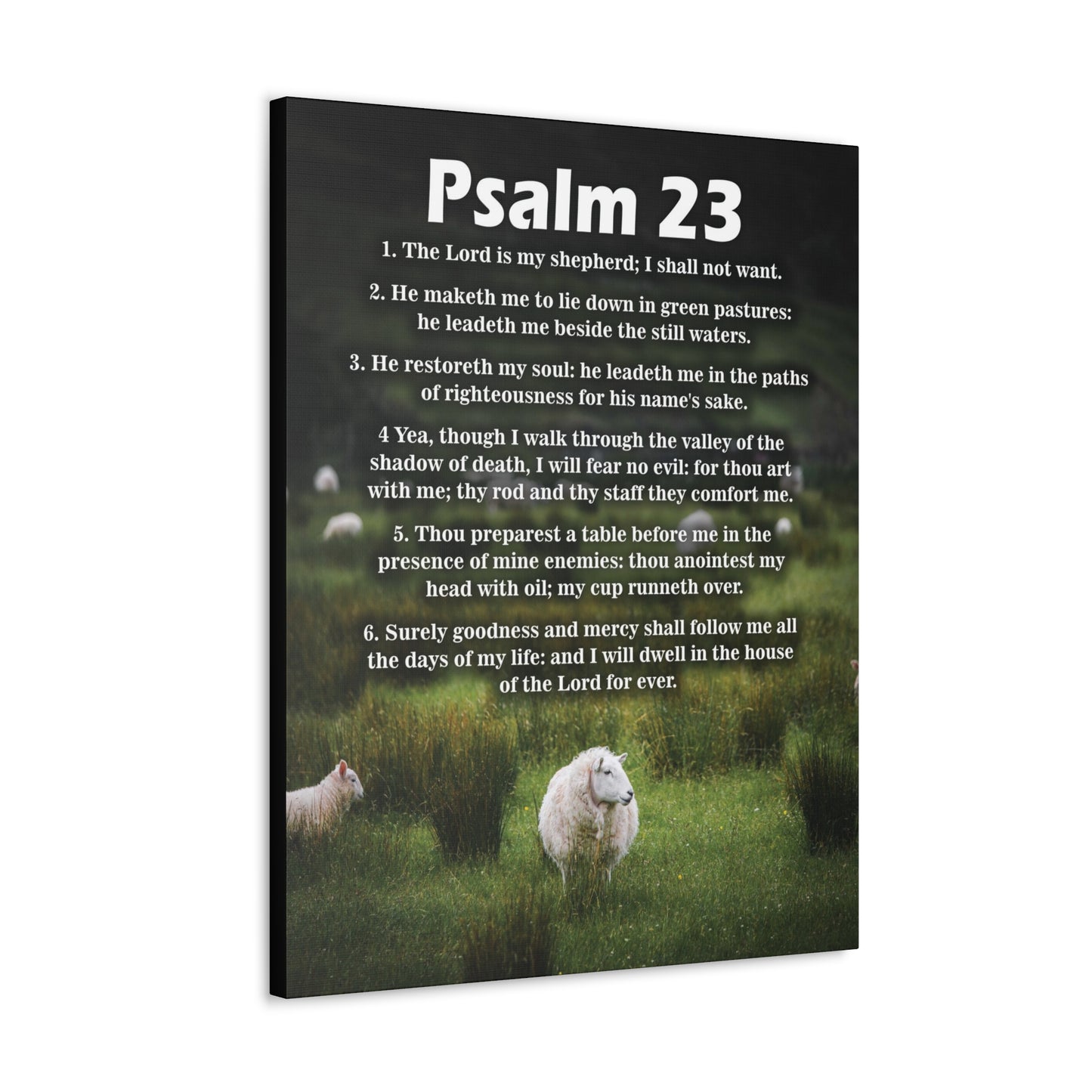 The Lord is My Shepherd Psalm 23:3 Christian Wall Art Bible Verse Print Ready to Hang