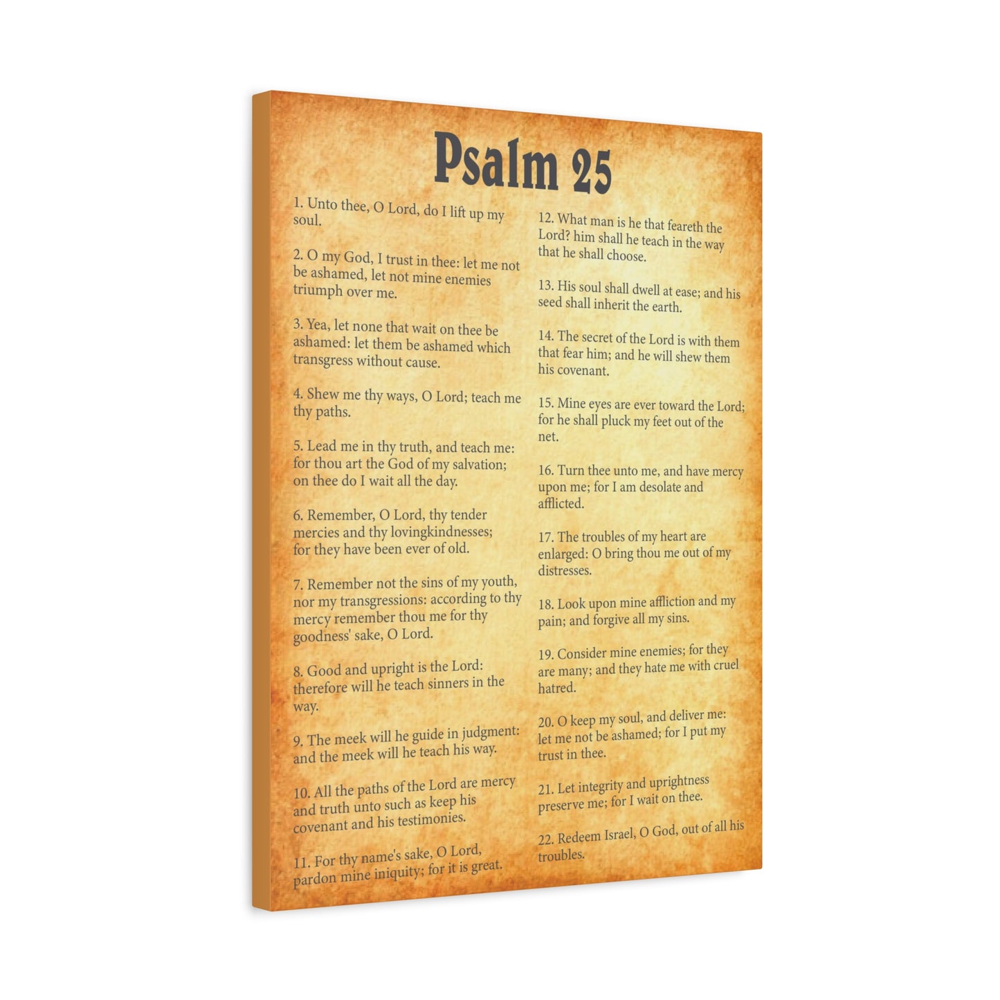 Scripture Walls Psalm 25 Gold Bible Chapter Canvas Christian Wall Art Ready to Hang