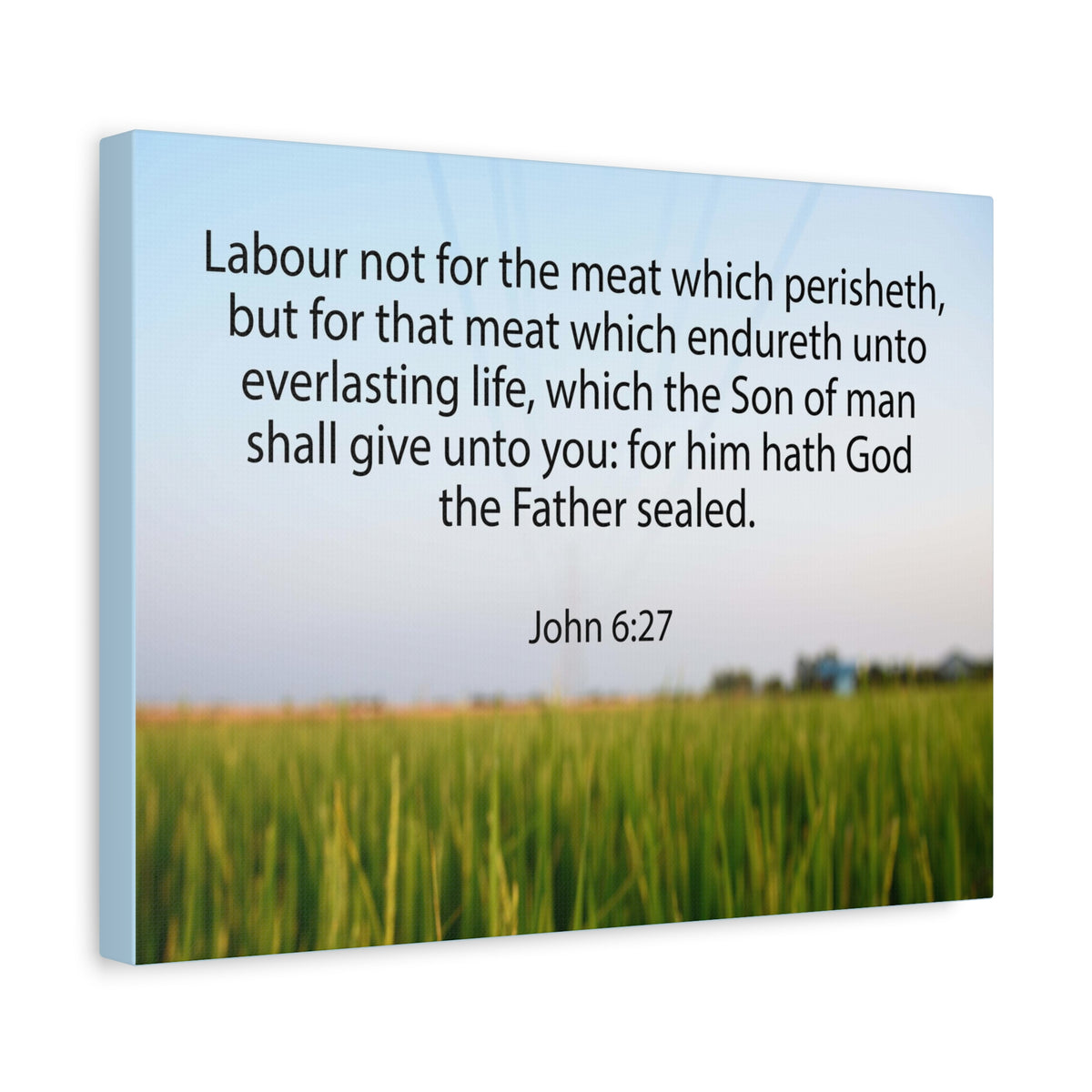 Scripture Canvas Labour Not For The Meat John 6:27 Christian Wall Art Bible Verse Print Ready to Hang