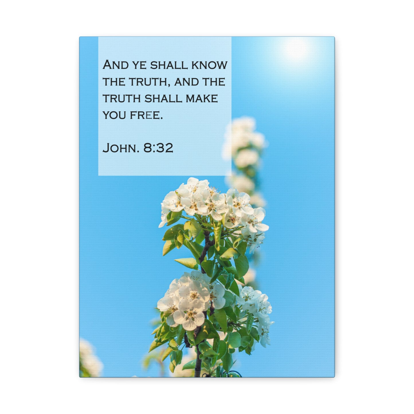 The Truth Shall Make You Free John 8:32 Bible Verse Canvas Christian Wall Art Bible Verse Print Ready To Hang