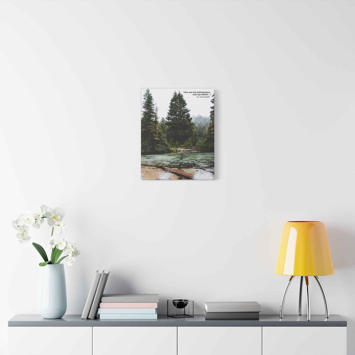Scripture Walls My Shield Psalms 119:114 Bible Verse Canvas Christian Wall Art Ready to Hang