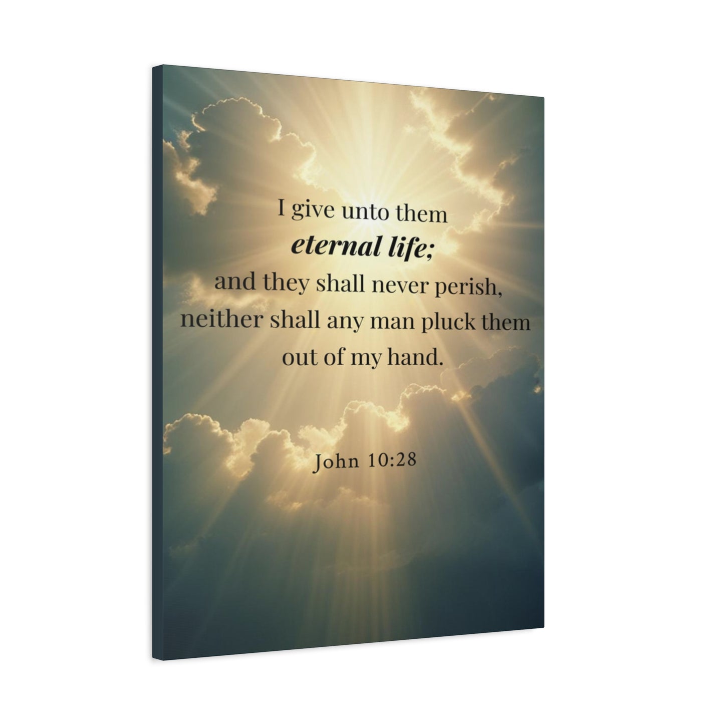 Scripture Walls John 10:28 Eternal Assurance Bible Verse Canvas Christian Wall Art Ready to Hang Unframed