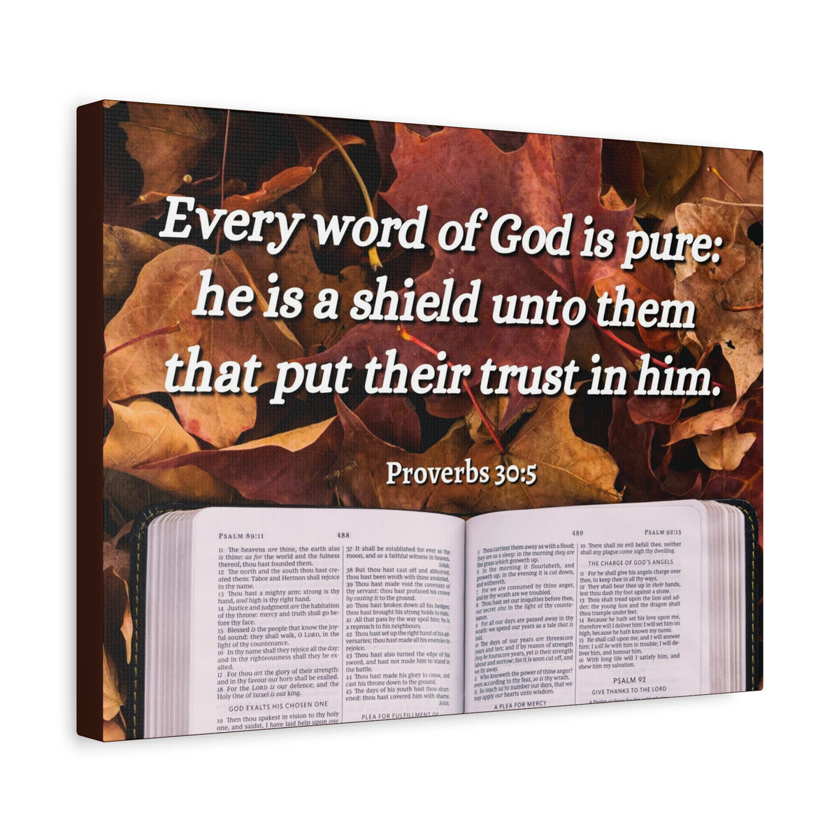 Scripture Canvas A Shield Proverbs 30:5 Christian Wall Art Bible Verse Print Ready to Hang