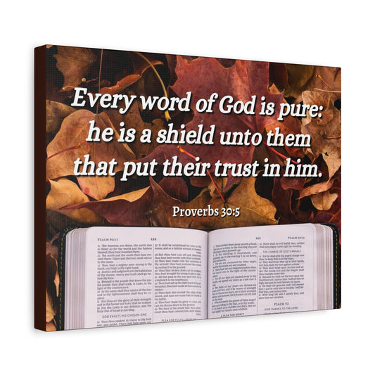 Scripture Canvas A Shield Proverbs 30:5 Christian Wall Art Bible Verse Print Ready to Hang