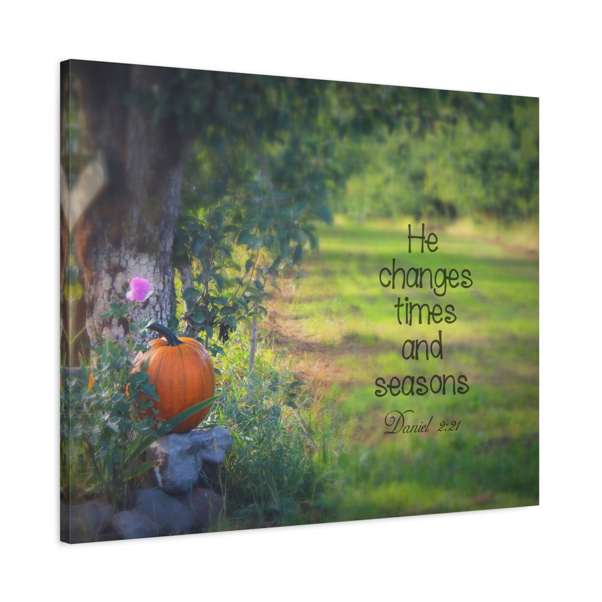 Scripture Canvas Times And Seasons Daniel 2:21 Christian Wall Art Bible Verse Print Ready to Hang