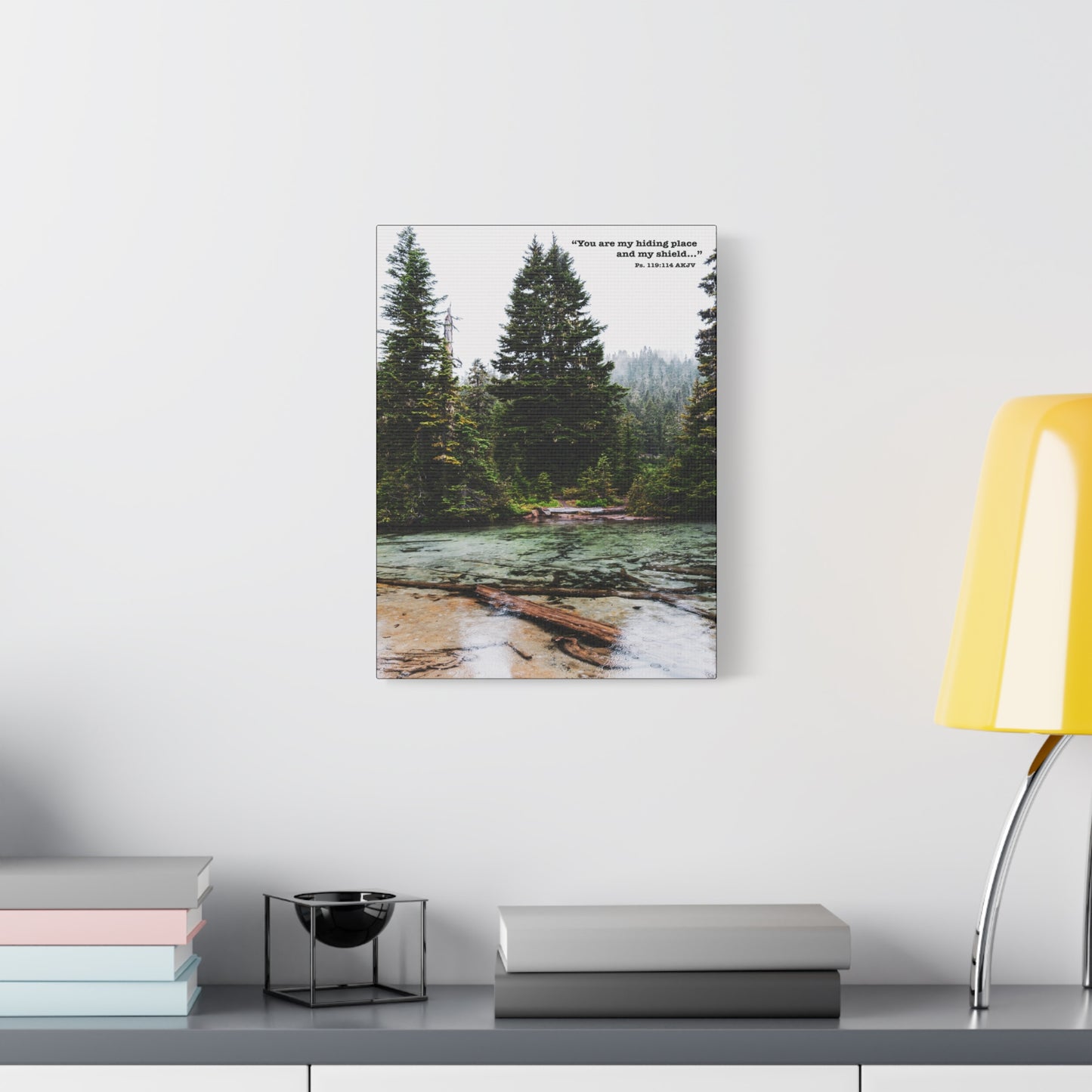 Scripture Walls My Shield Psalms 119:114 Bible Verse Canvas Christian Wall Art Ready to Hang