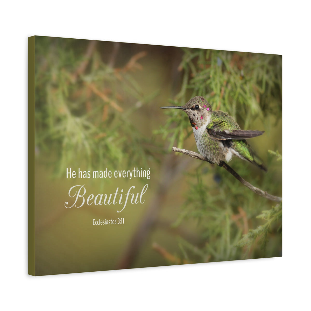 Scripture Canvas Everything Beautiful Ecclesiastes 3:11 Christian Wall Art Bible Verse Print Ready to Hang