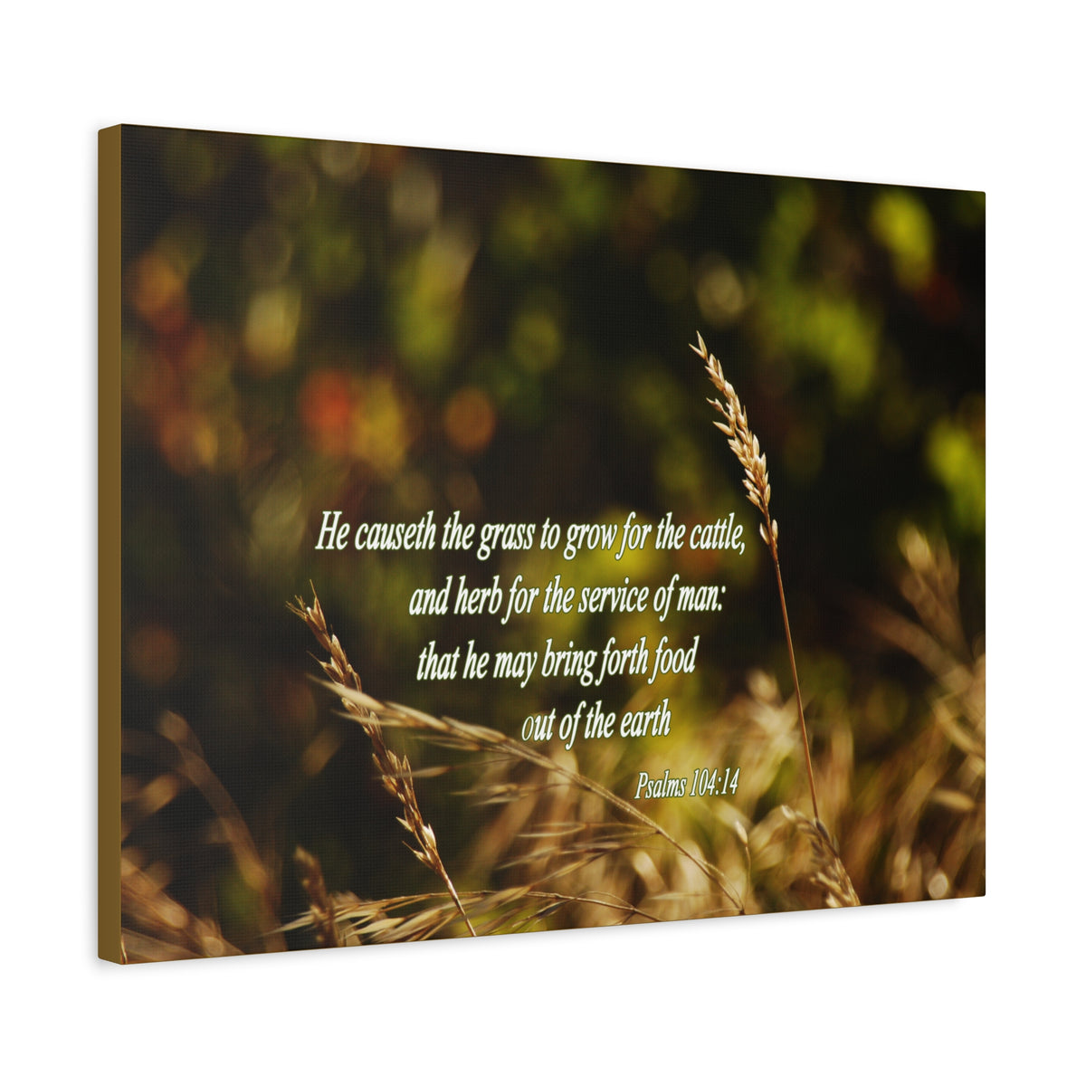 Scripture Canvas He May Bring Forth Psalms 104:14 Christian Wall Art Bible Verse Print Ready to Hang