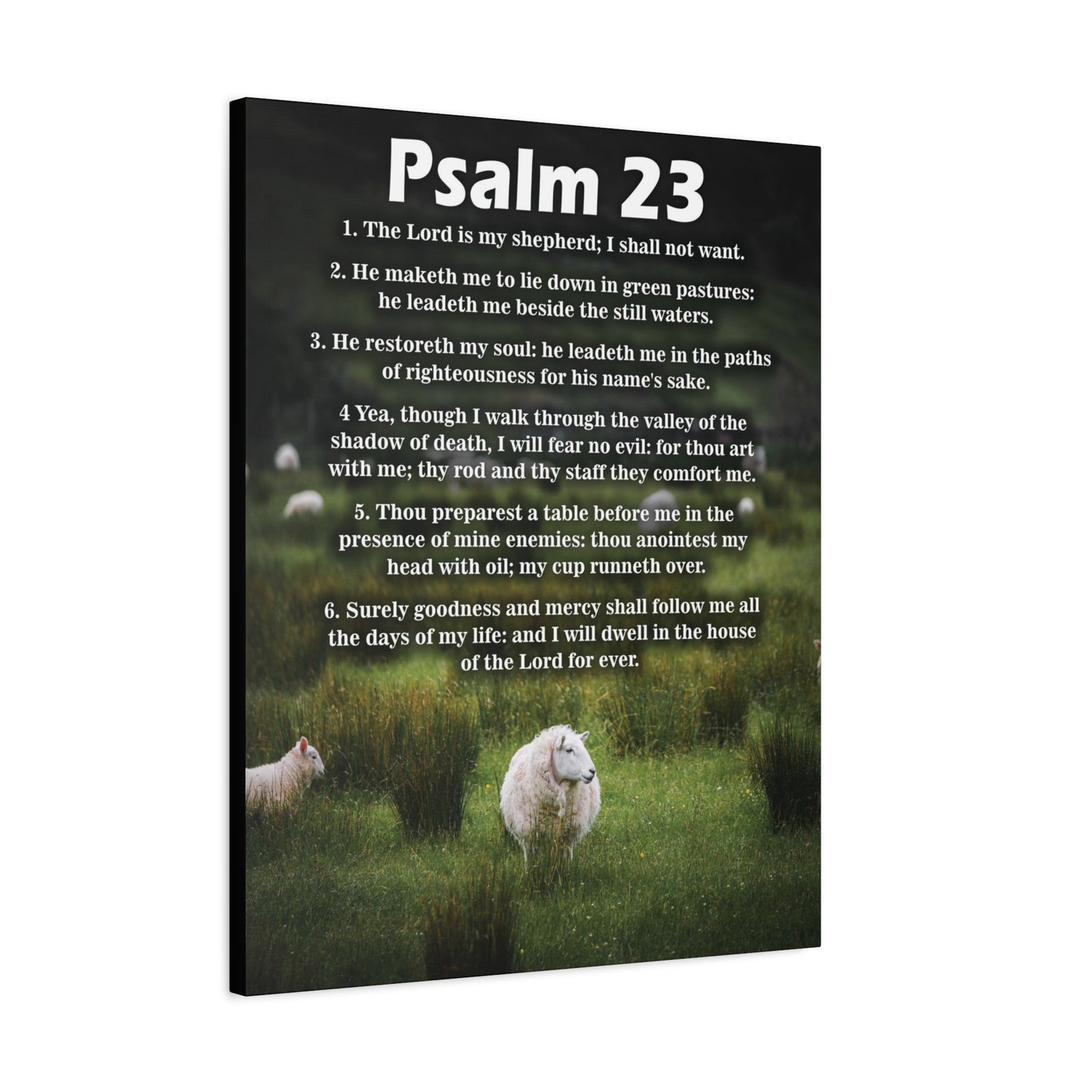 Scripture Walls The Lord is My Shepherd Psalm 23:3 Christian Wall Art Bible Verse Print Ready to Hang