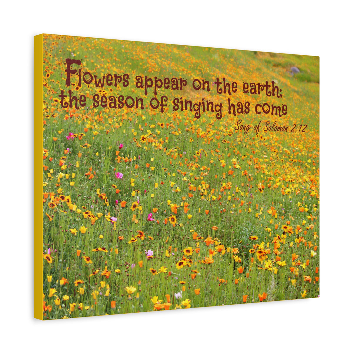 Scripture Canvas Season Of Singing Song Of Solomon 2:12 Christian Wall Art Bible Verse Print Ready to Hang