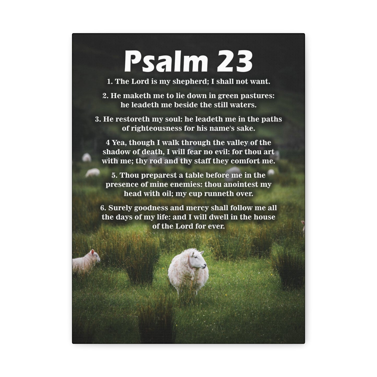The Lord is My Shepherd Psalm 23:3 Christian Wall Art Bible Verse Print Ready to Hang