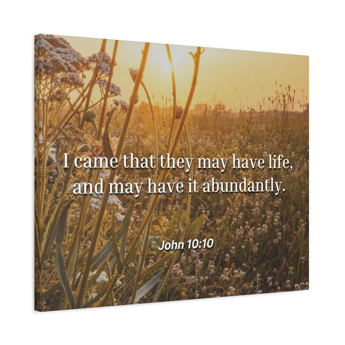 Scripture Canvas Abundantly John 10:10 Christian Wall Art Bible Verse Print Ready to Hang