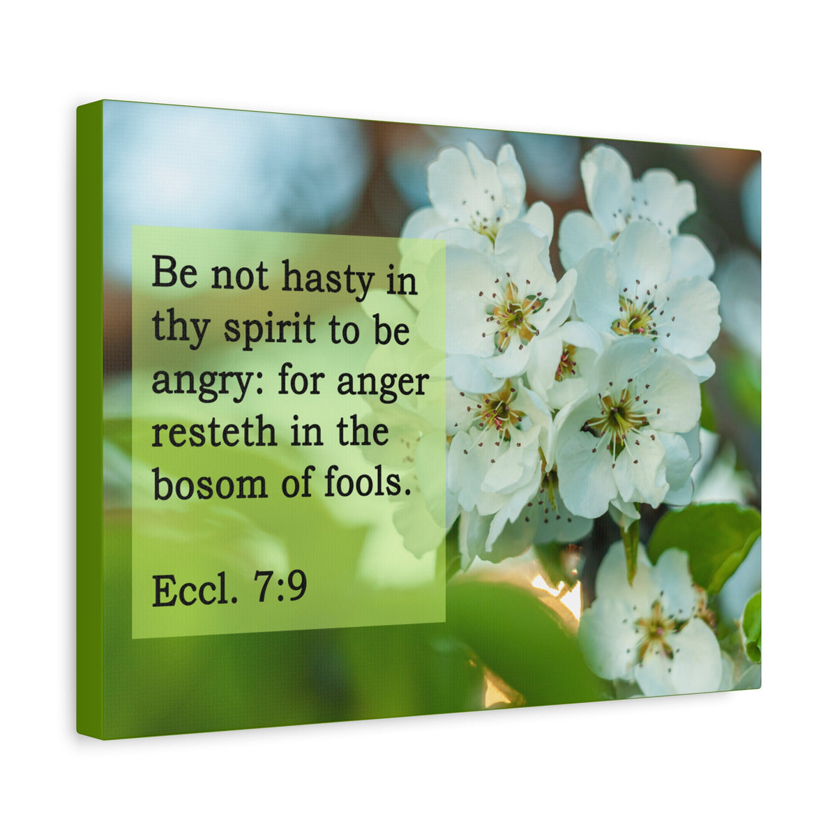 Scripture Canvas Be Not Hasty Ecclesiastes 7:9 Christian Wall Art Bible Verse Print Ready to Hang