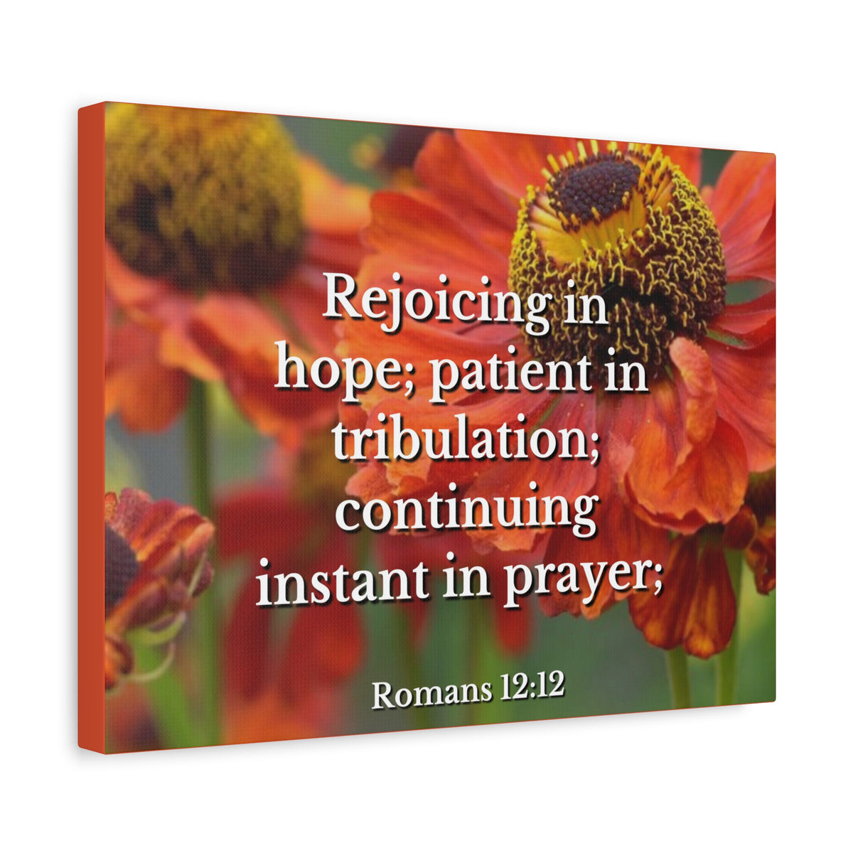 Scripture Canvas Rejoicing In Hope Romans 12:12 Christian Wall Art Bible Verse Print Ready to Hang