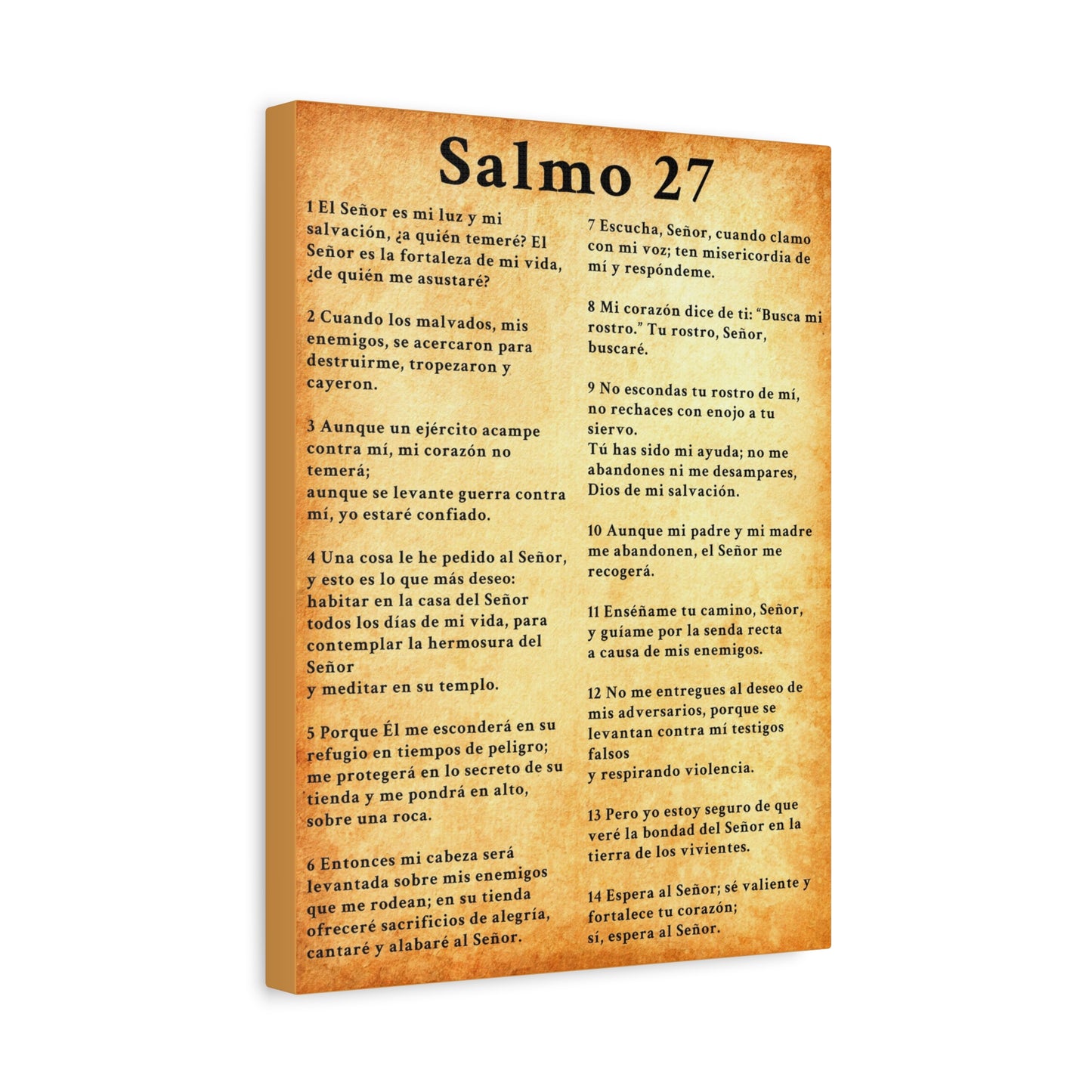 Scripture Walls Salmo 27 Chapter Gold Christian Wall Art Print Ready to Hang Unframed