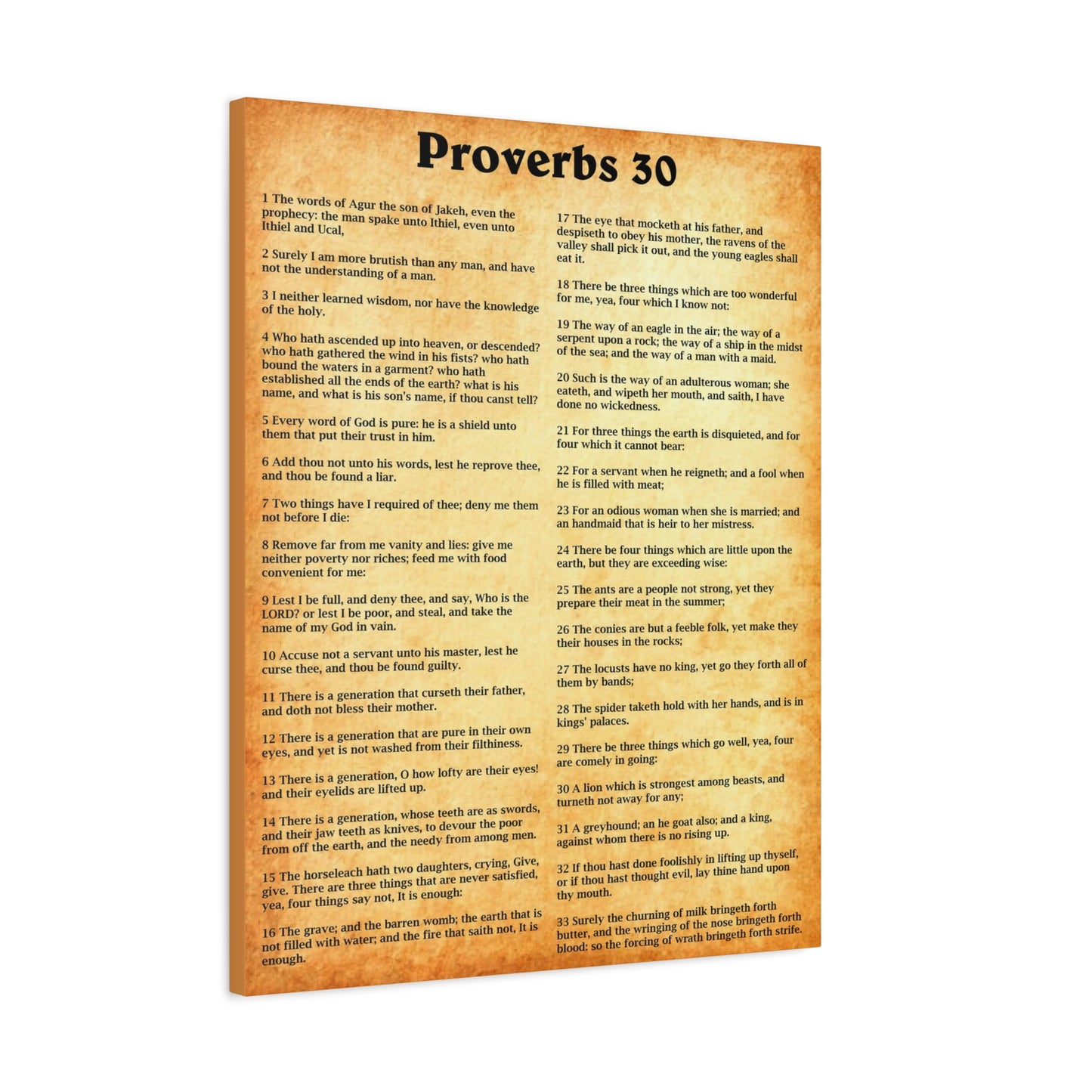 Scripture Walls Proverbs Chapter 30 Gold Bible Canvas Christian Wall Art Ready to Hang Unframed