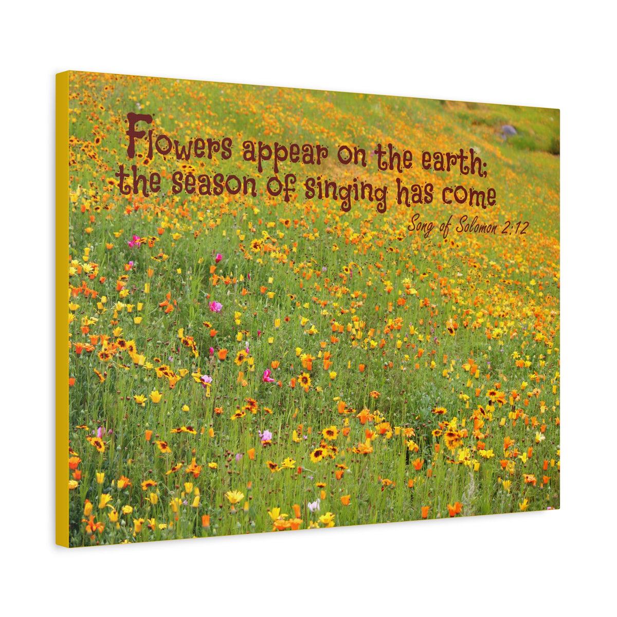 Scripture Canvas Season Of Singing Song Of Solomon 2:12 Christian Wall Art Bible Verse Print Ready to Hang