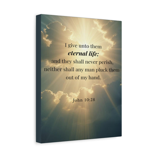 Scripture Walls John 10:28 Eternal Assurance Bible Verse Canvas Christian Wall Art Ready to Hang Unframed