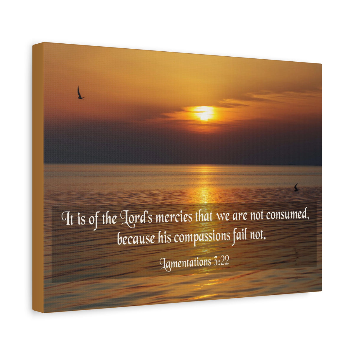 Scripture Canvas Lord's Mercies Lamentations 3:22 Christian Wall Art Bible Verse Print Ready to Hang