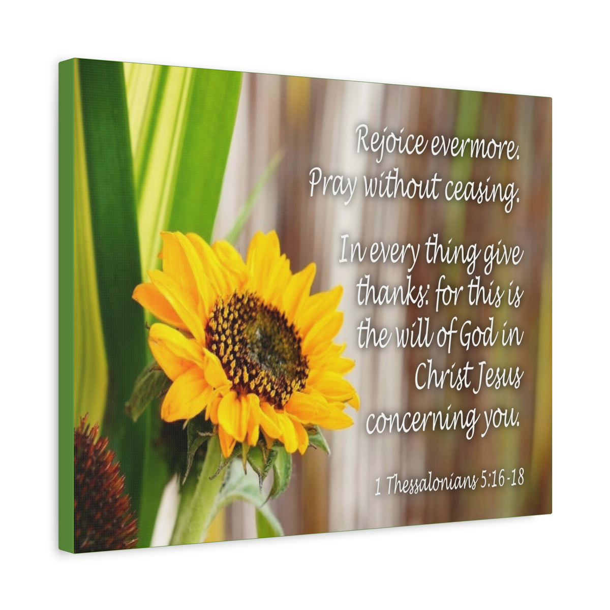 Scripture Canvas Rejoice Evermore 1 Thessalonians 5:16-18 Christian Wall Art Bible Verse Print Ready to Hang