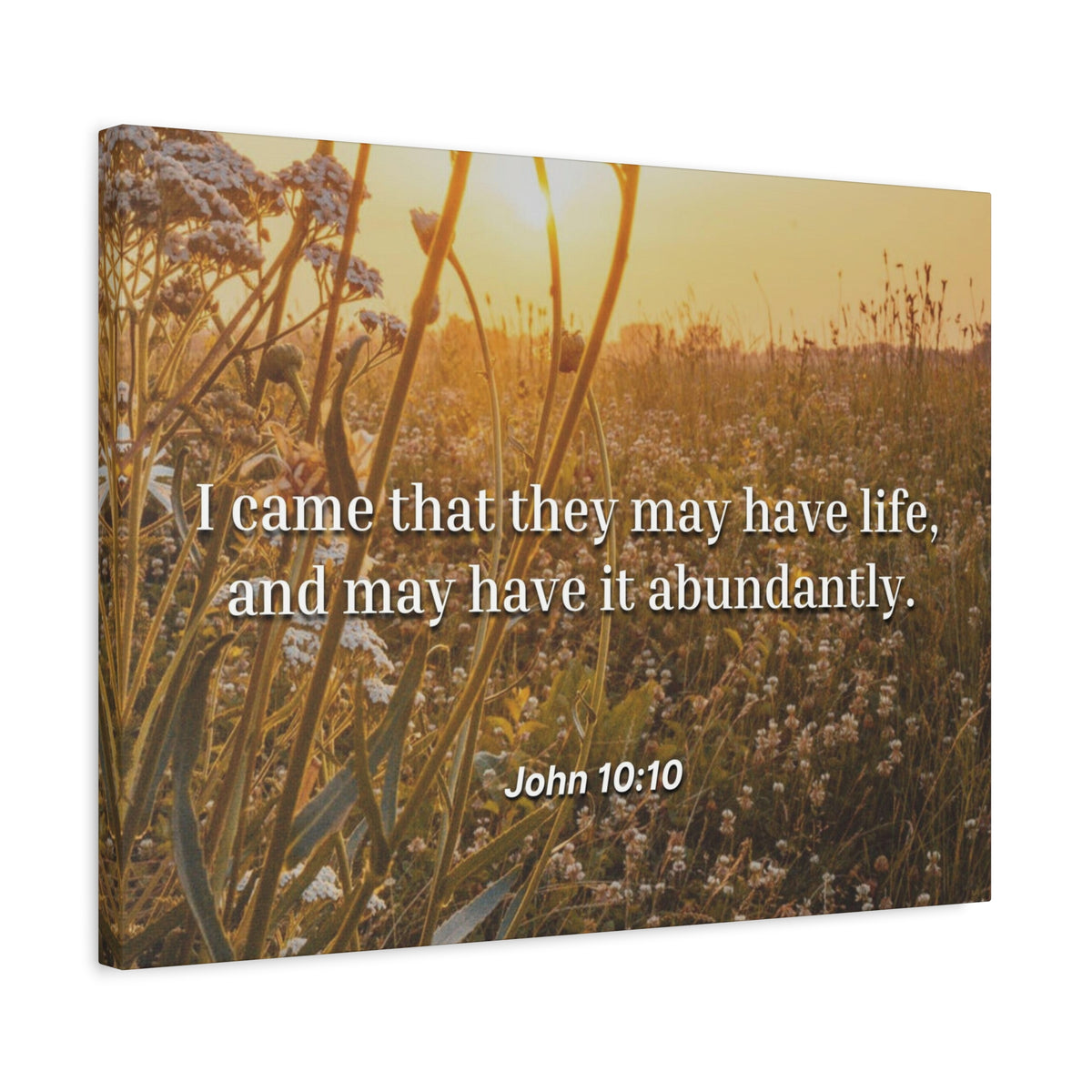 Scripture Canvas Abundantly John 10:10 Christian Wall Art Bible Verse Print Ready to Hang