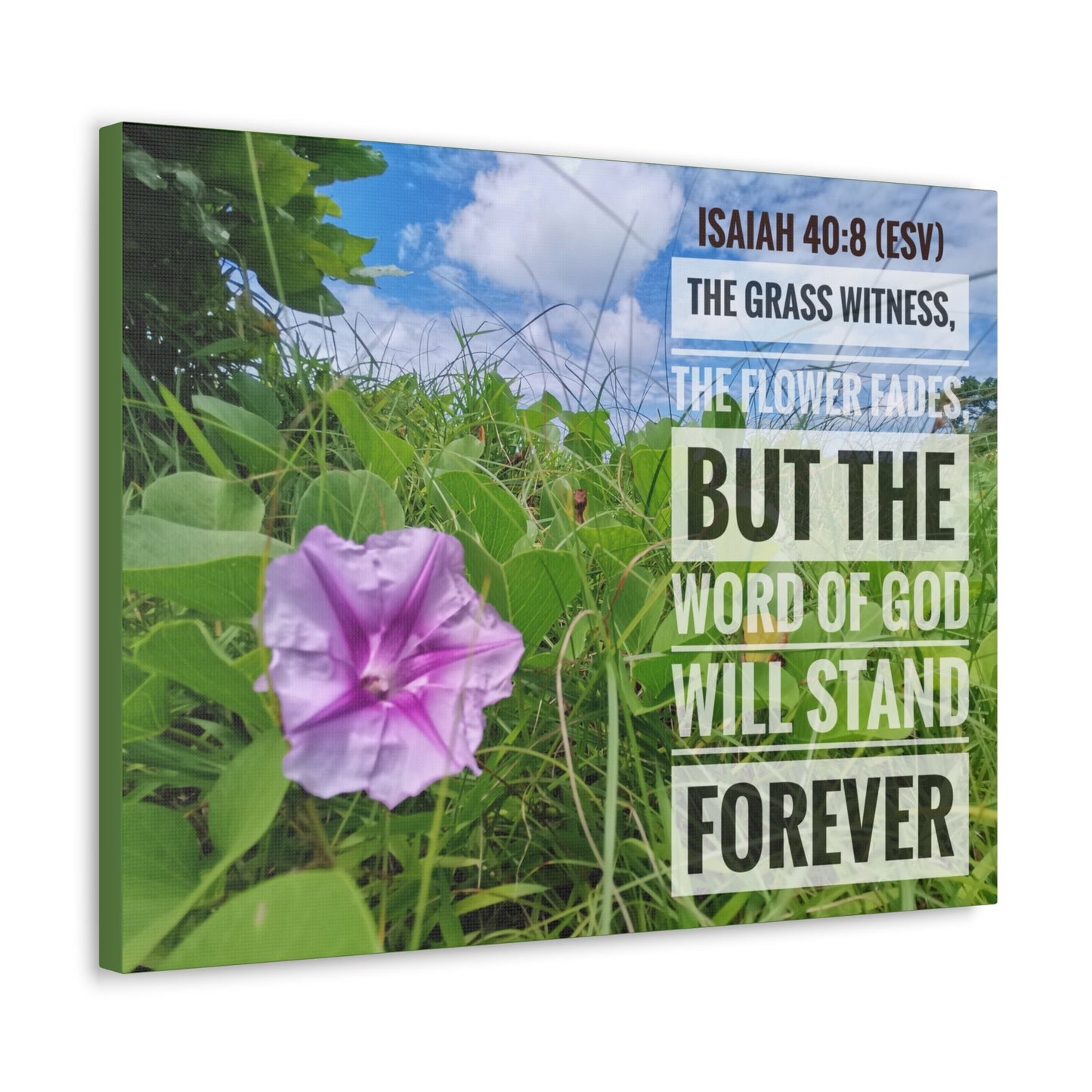 Will Stand Forever Isaiah 40:8 Bible Verse Canvas Christian Wall Art Ready to Hang