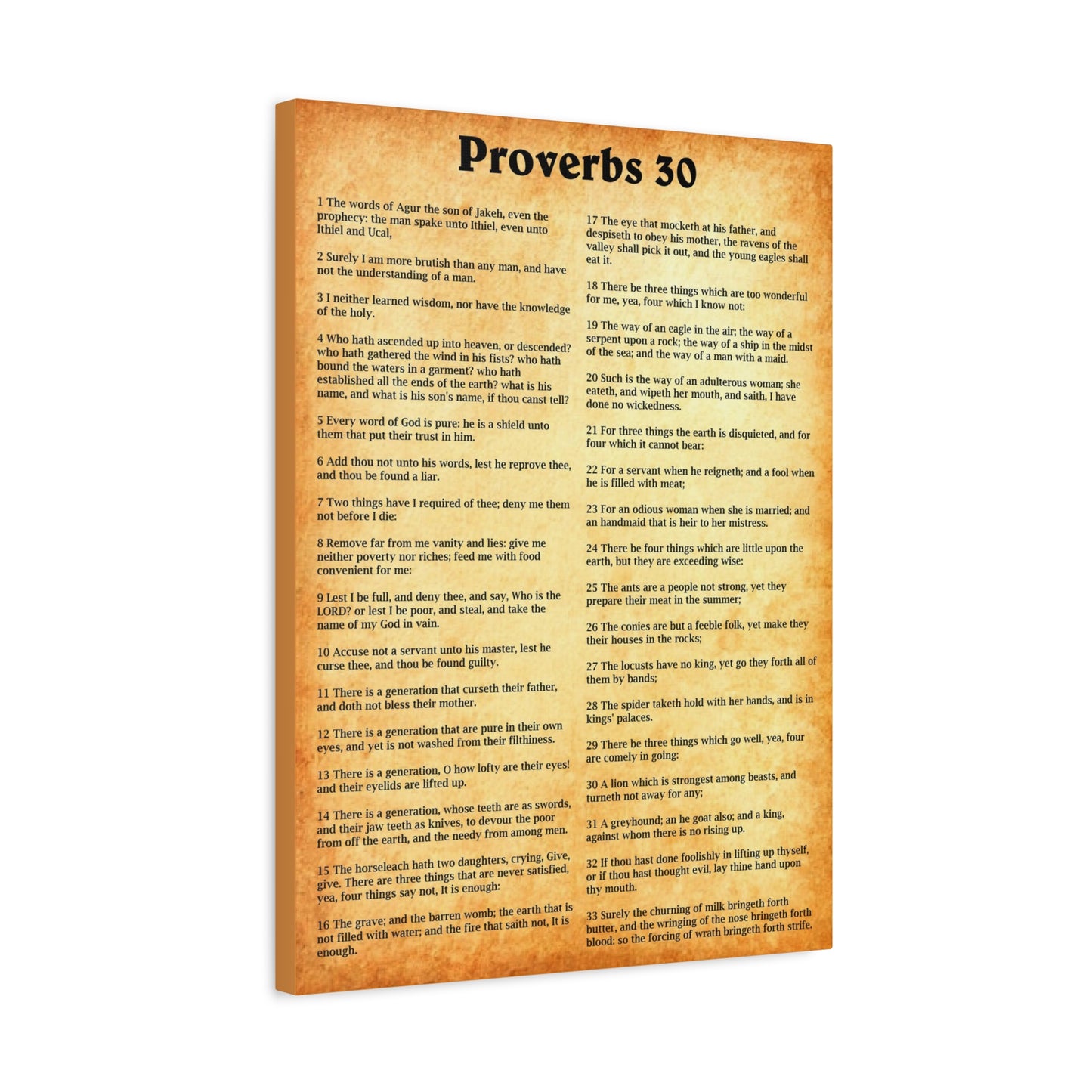 Scripture Walls Proverbs Chapter 30 Gold Bible Canvas Christian Wall Art Ready to Hang Unframed