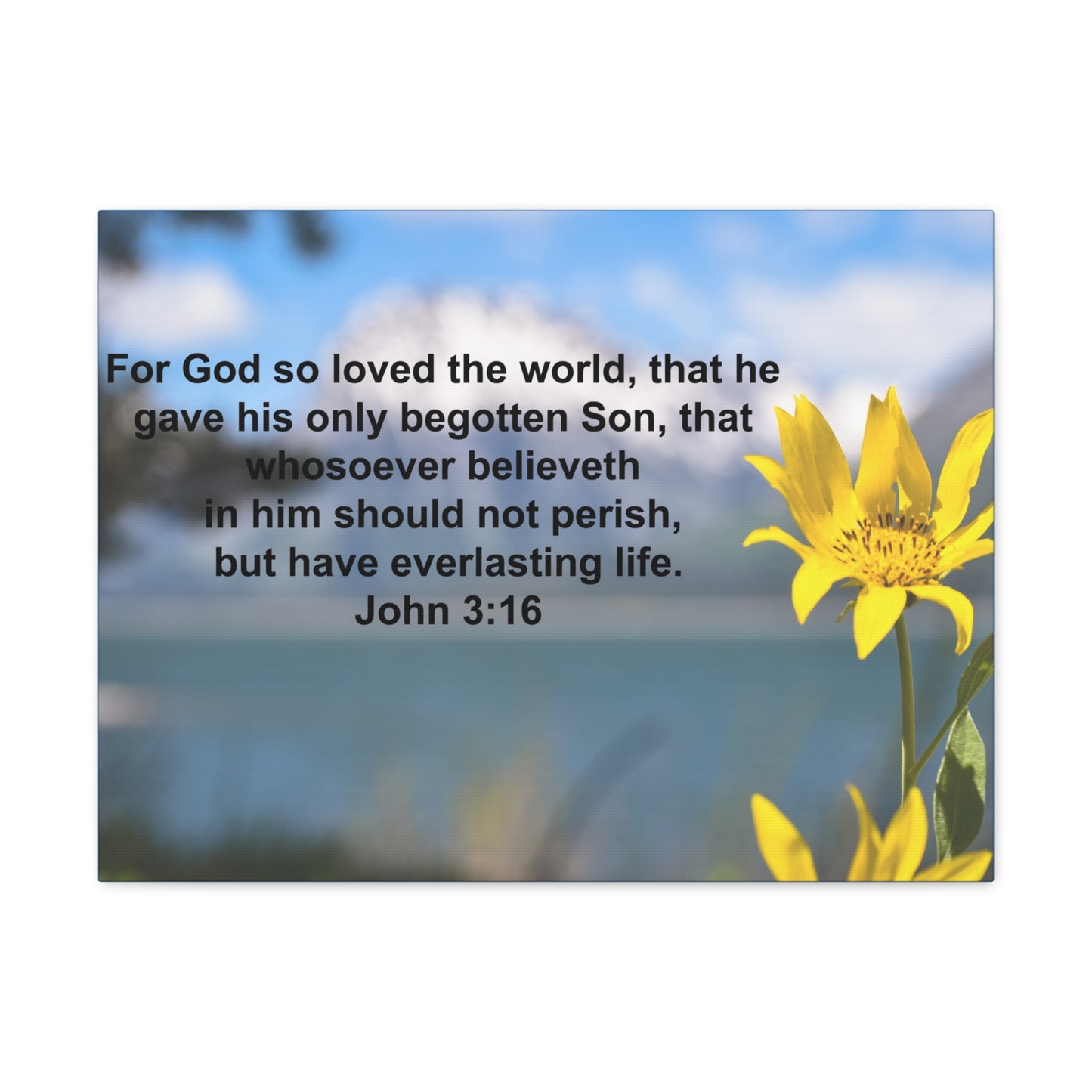 Have Everlasting Life John 3:16 Bible Verse Canvas Christian Wall Art Ready to Hang