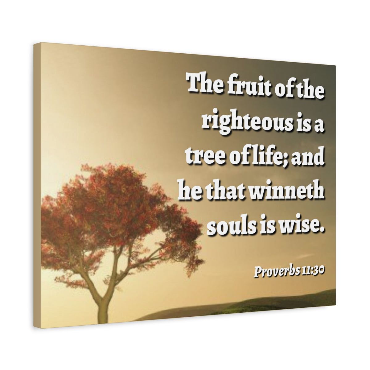 Scripture Canvas Tree Of Life Proverbs 11:30 Christian Wall Art Bible Verse Print Ready to Hang