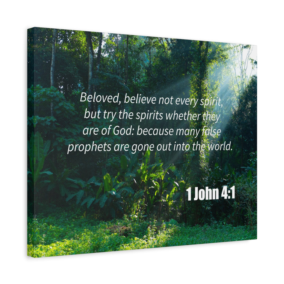 Scripture Canvas False Prophets 1 John 4:1 Christian Wall Art Bible Verse Print Ready to Hang