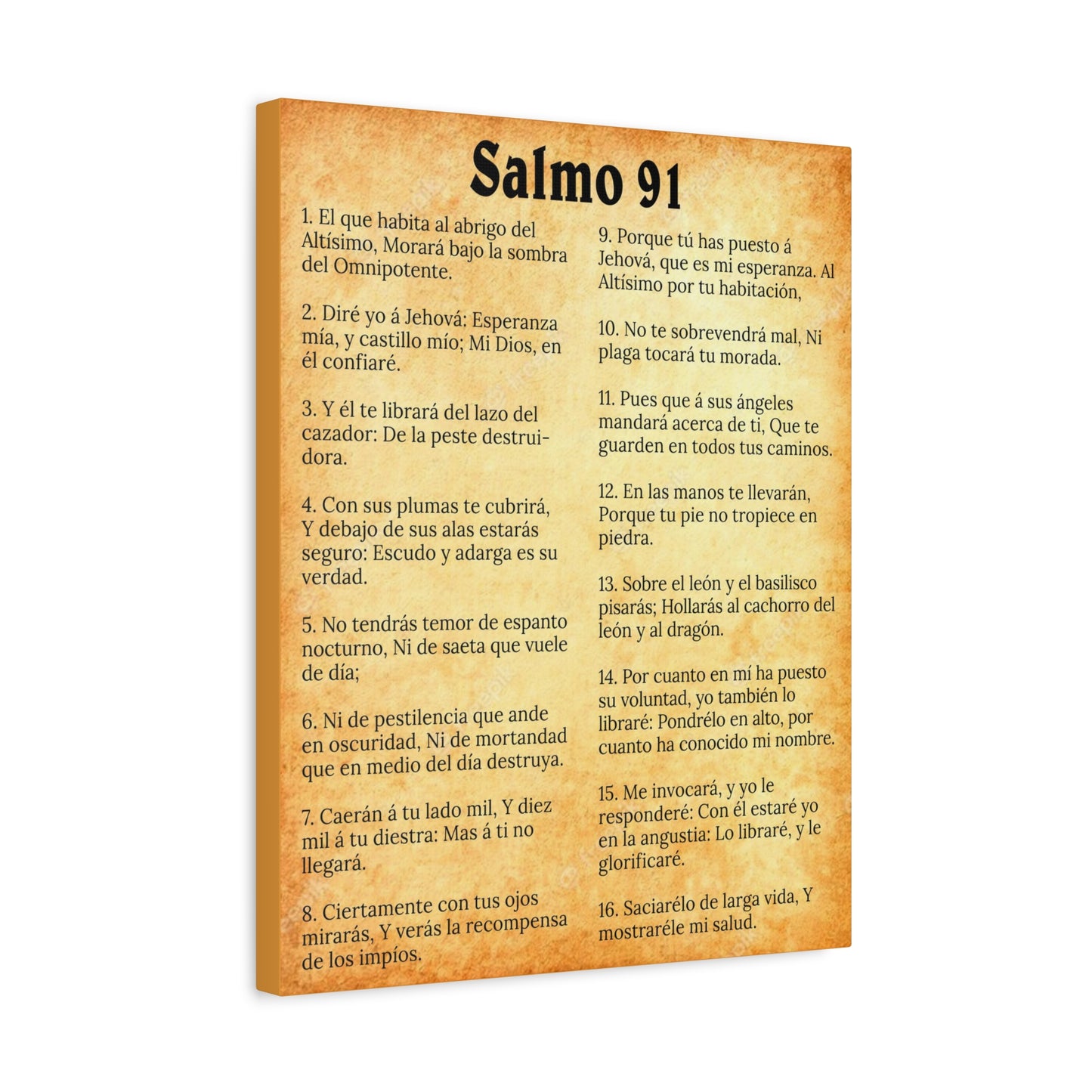 Scripture Walls Salmo 91 Chapter Gold Christian Wall Art Print Ready to Hang Unframed