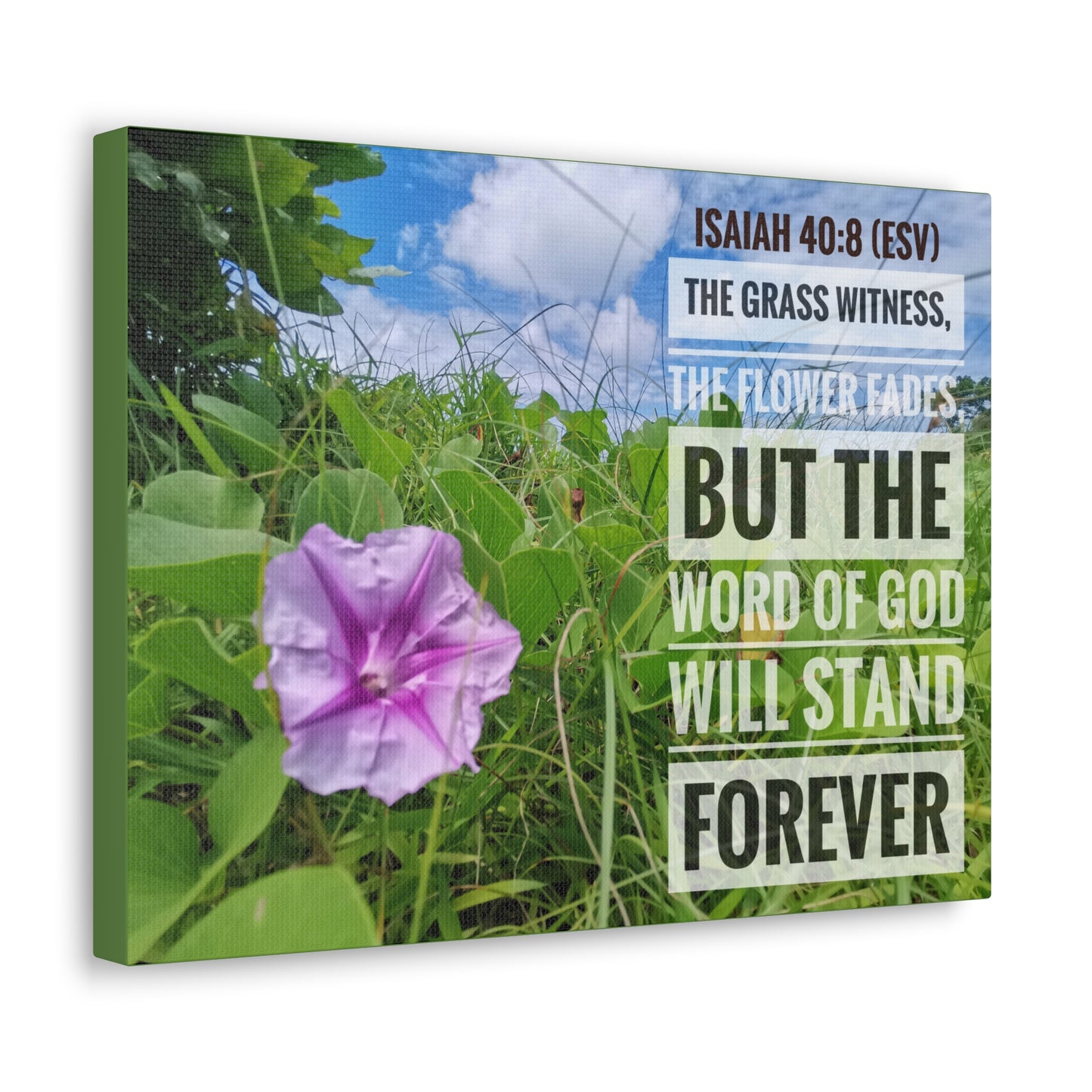 Will Stand Forever Isaiah 40:8 Bible Verse Canvas Christian Wall Art Ready to Hang