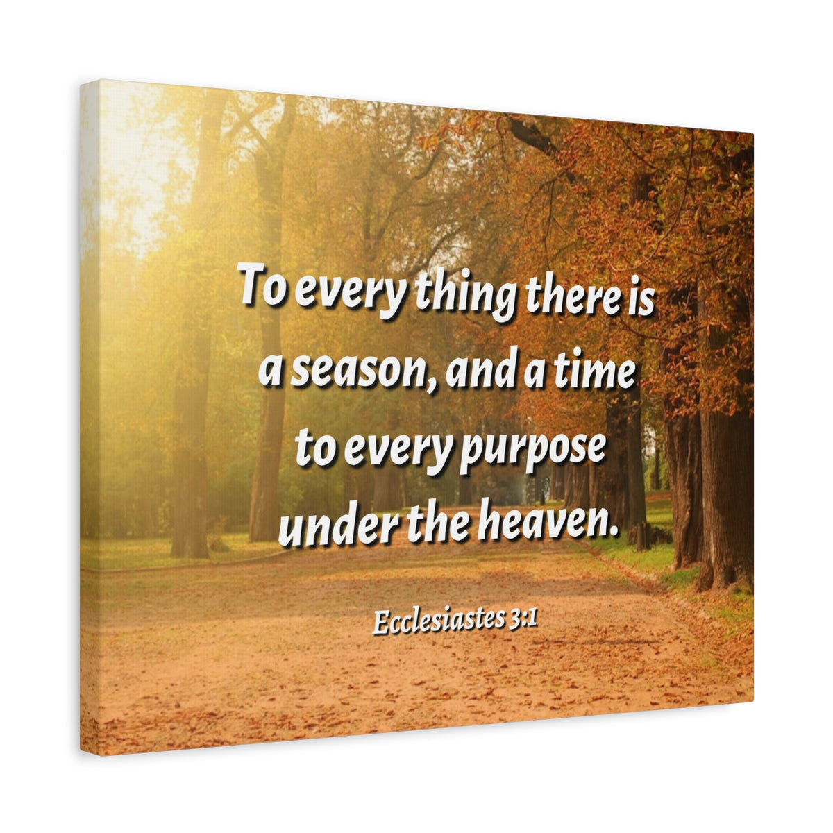Scripture Canvas Purpose Ecclesiastes 3:1 Christian Wall Art Bible Verse Print Ready to Hang