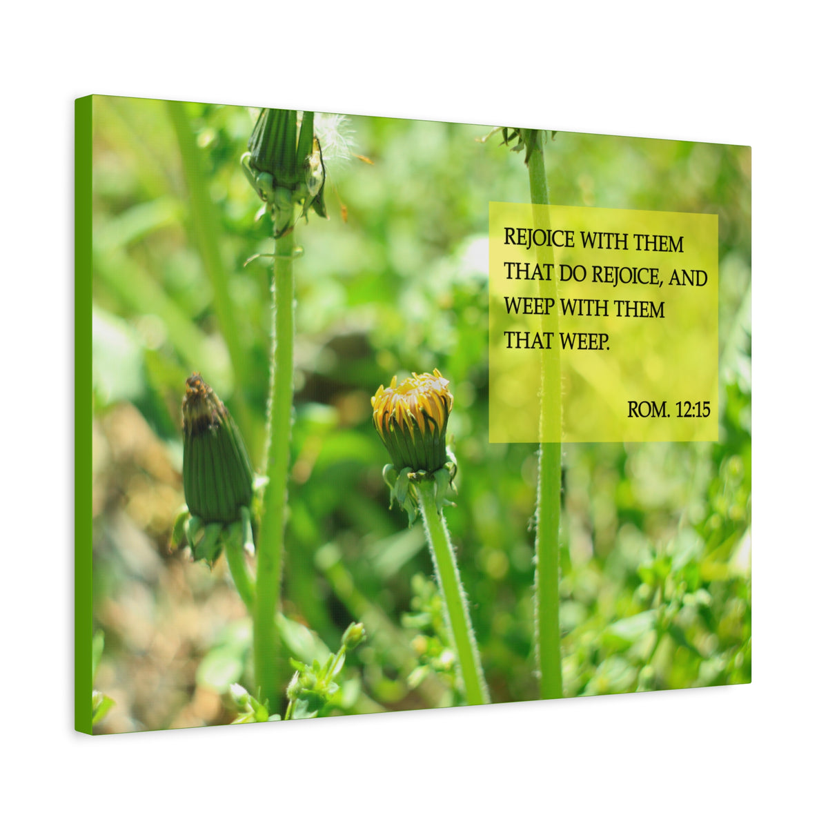 Scripture Canvas Rejoice With Them Rom 12:15 Christian Wall Art Bible Verse Print Ready to Hang