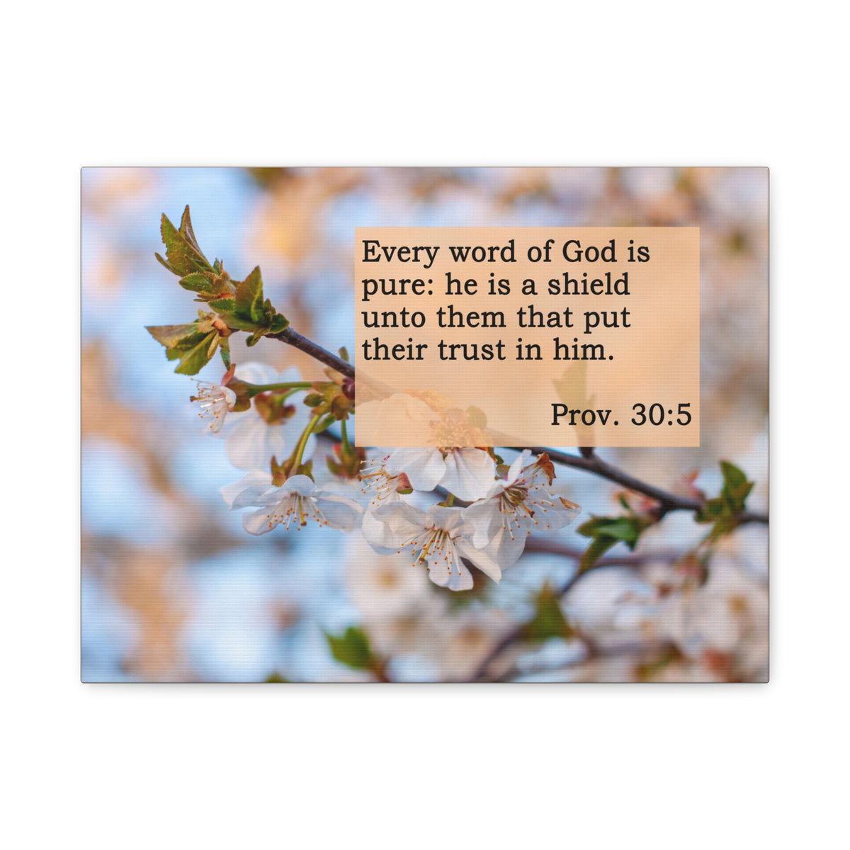 Scripture Canvas He Is A Shield Proverbs 30:5 Christian Wall Art Bible Verse Print Ready to Hang